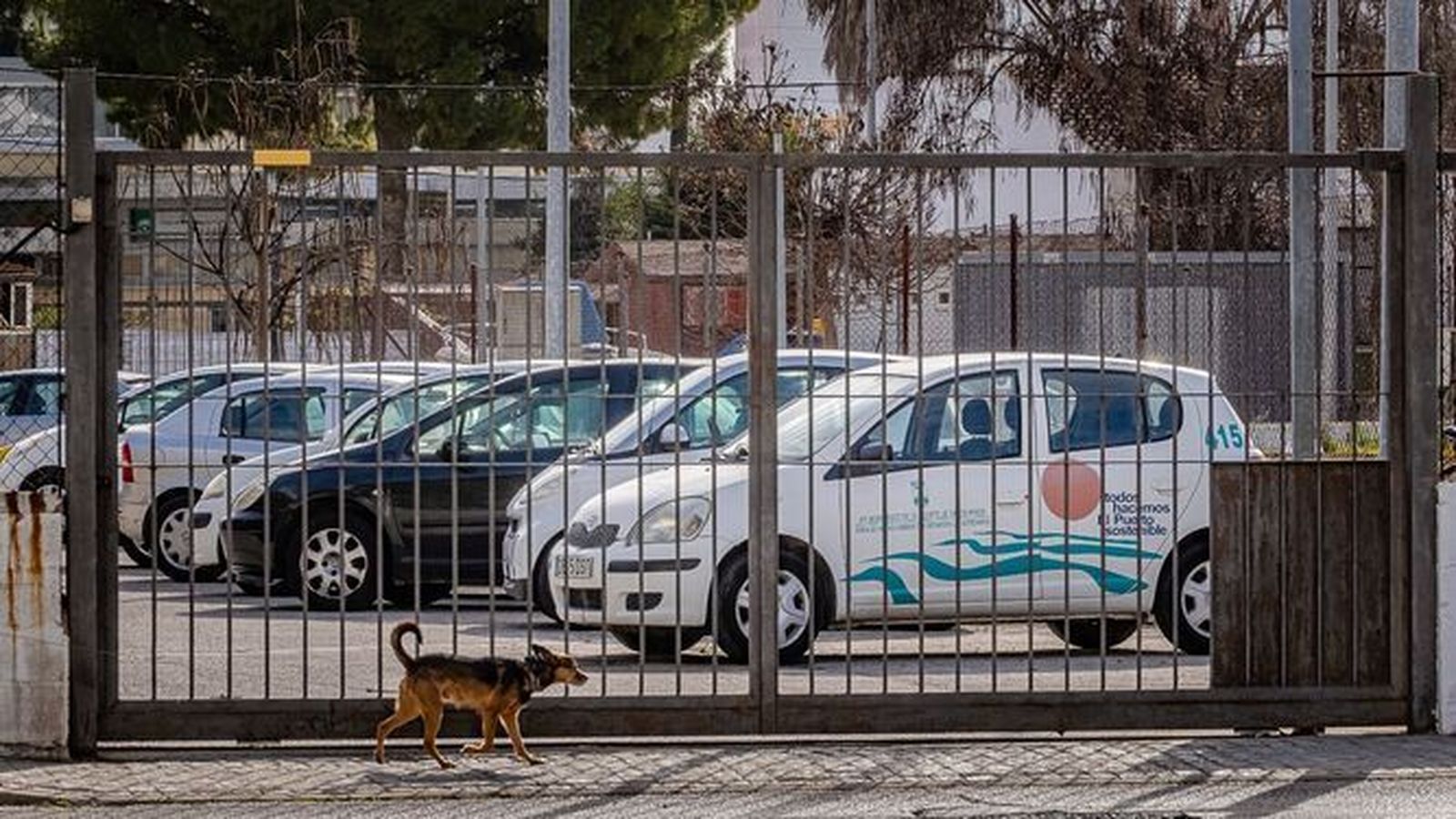 Una imagen de los coches municipales inmovilizados el pasado mes de enero.