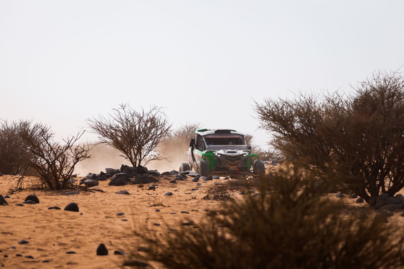 Las mejores fotos del Rally Dakar | undécima etapa