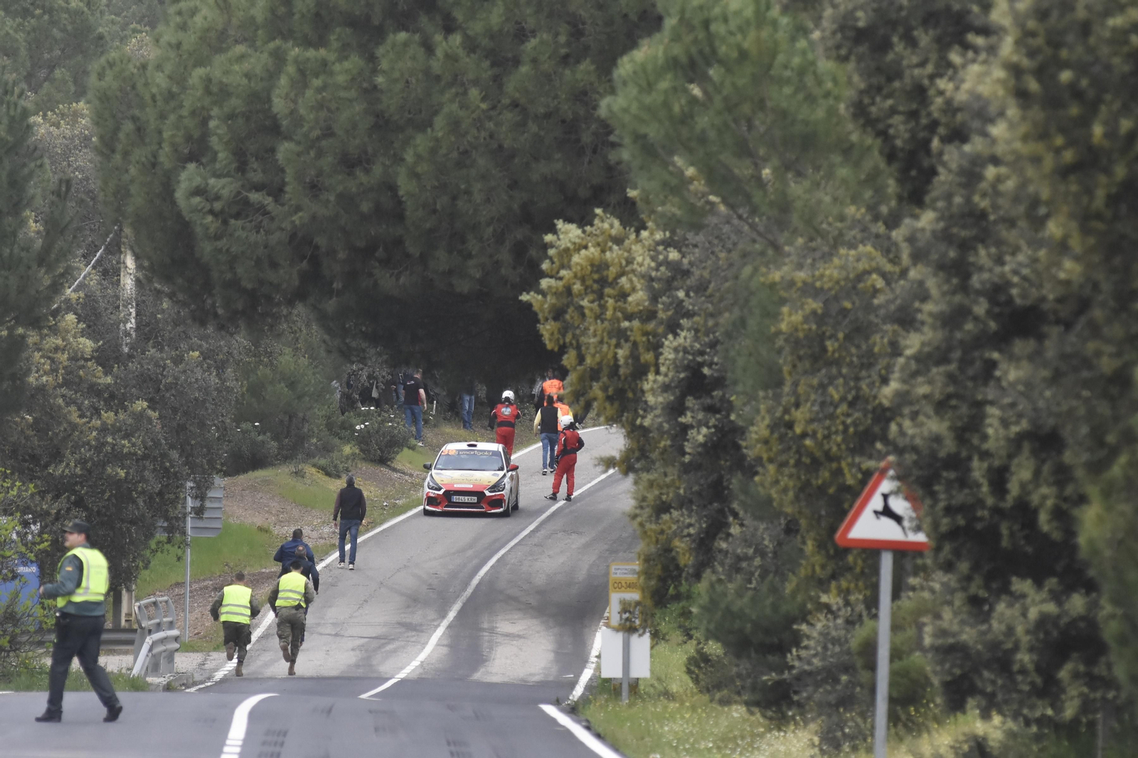 Las mejores fotos de la segunda jornada del Rallye Sierra Morena 2024 Las mejores fotos de la segunda jornada del Rallye Sierra Morena 2024