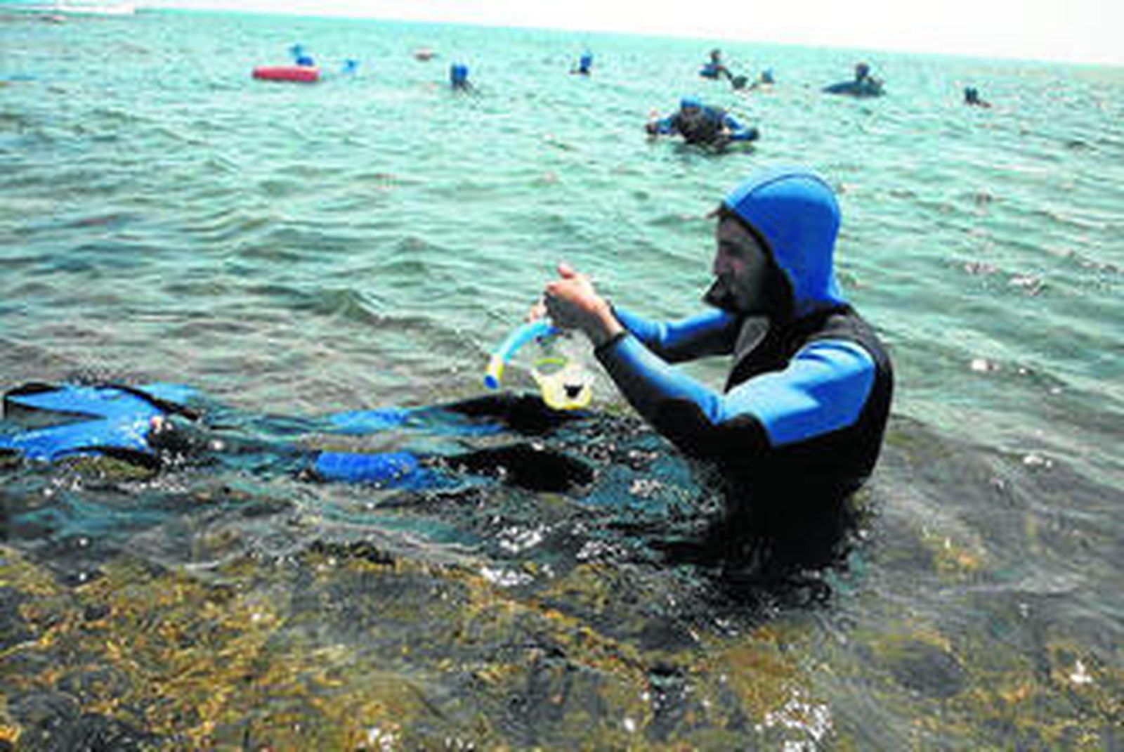 Las inmersiones son en Los Escullos, Rodalquilar y Las Negras.