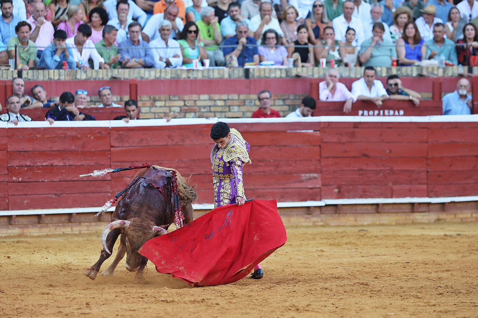 Toros La Merced 2024 Novillada con picadores(