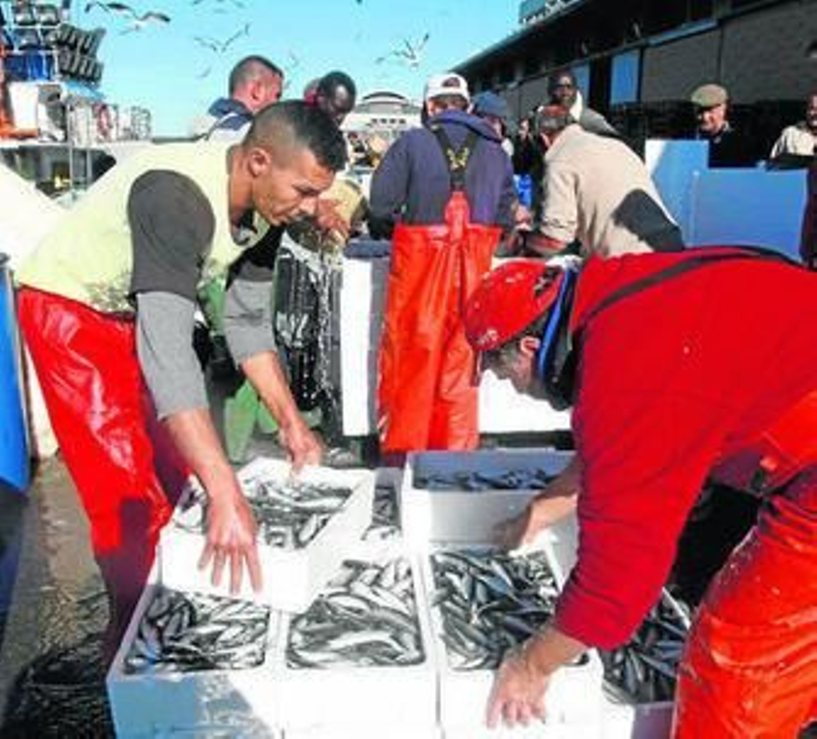Descarga de pescado recién capturado en el puerto de Isla Cristina.