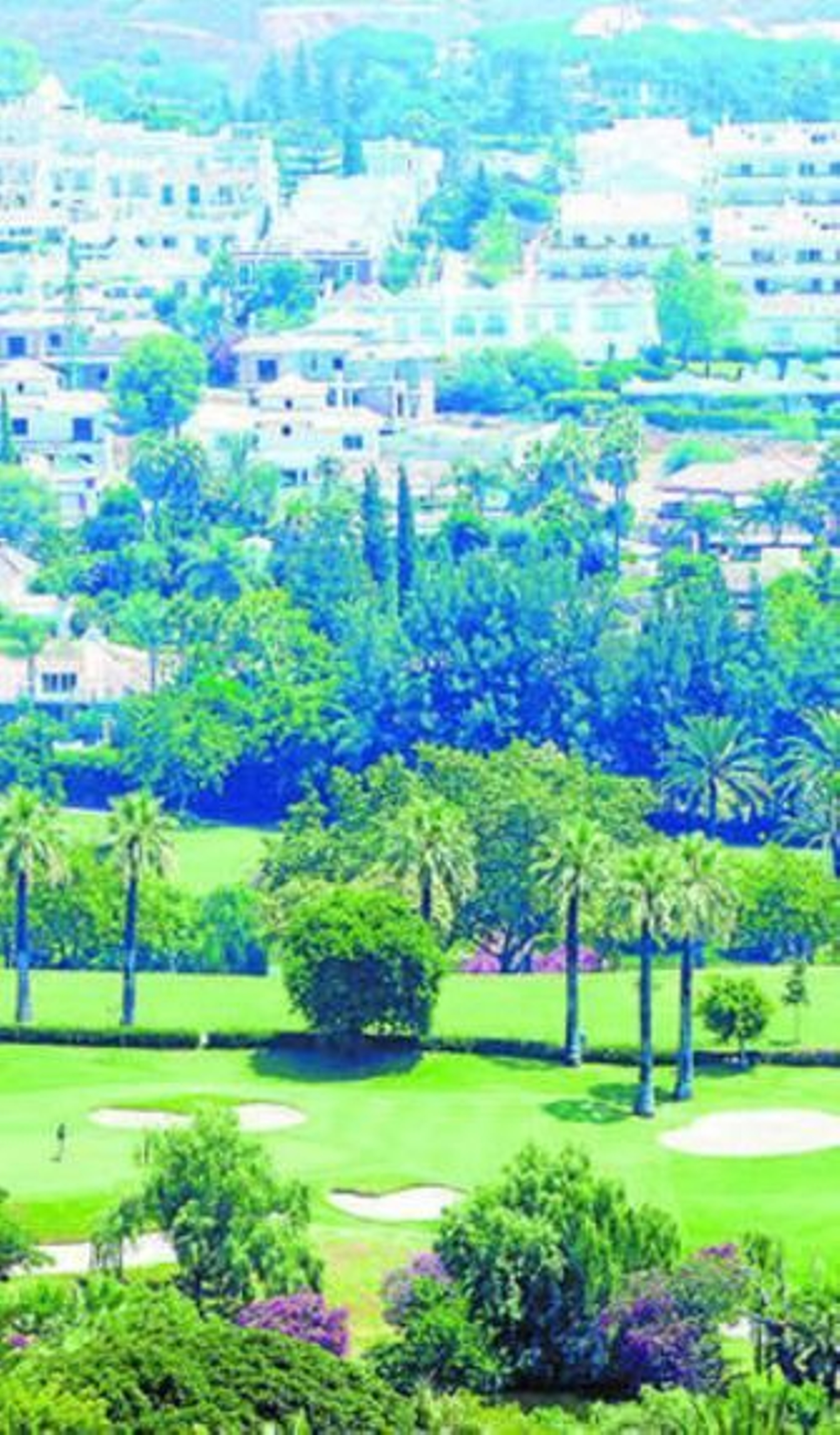 Marbella y la calle Larios reactivan el interés de los grandes inversores Marbella y la calle Larios reactivan el interés de los grandes inversores