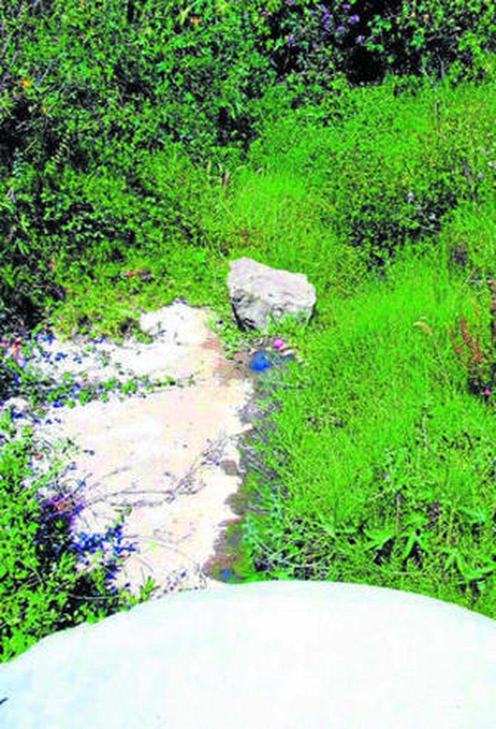 Un vertido al río Pícaro, en imagen de archivo.