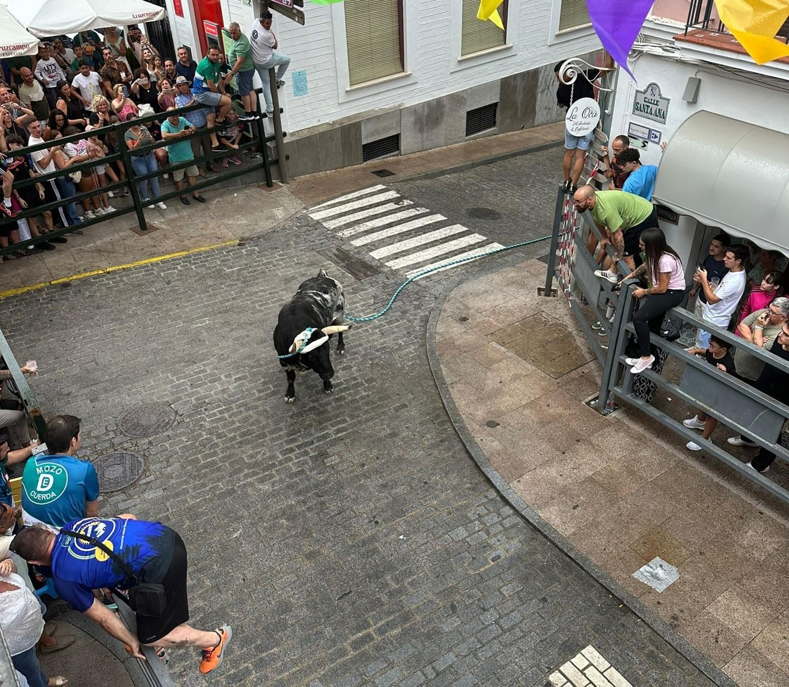 Carcabuey vuelve a disfrutar con su toro de cuerda, en imágenes