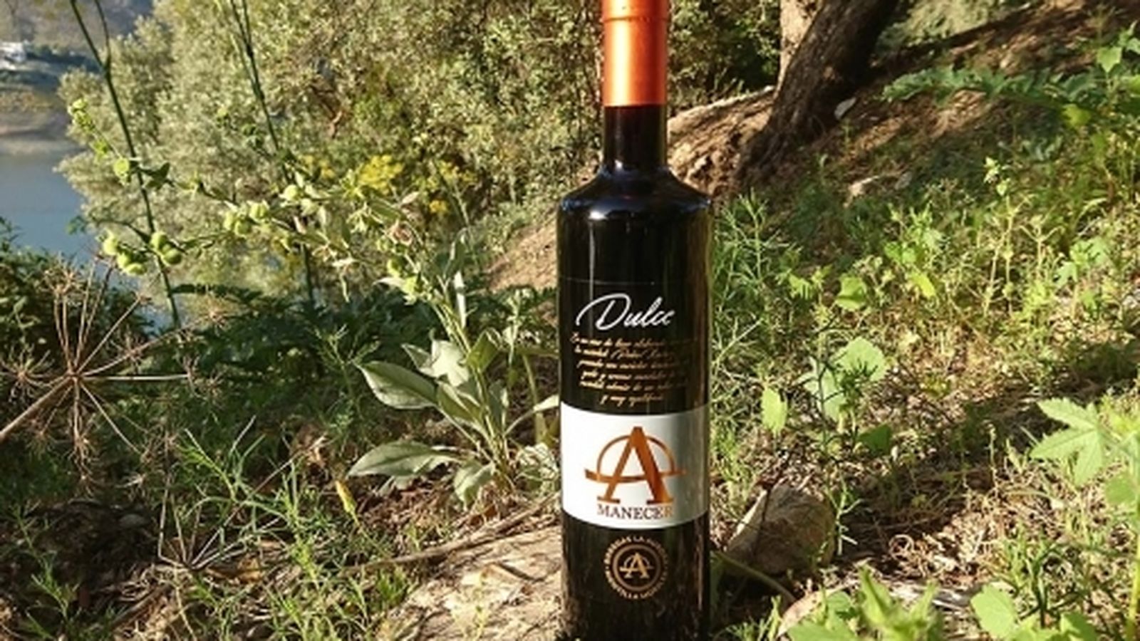 Dulce Amanecer De Bodegas La Aurora