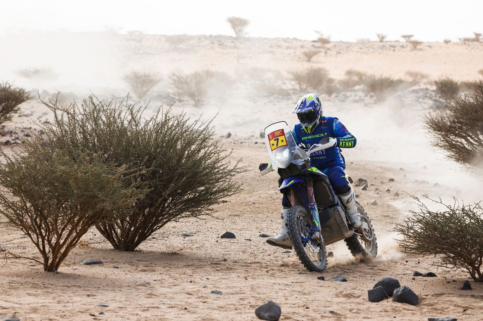 Las mejores fotos del Rally Dakar | undécima etapa