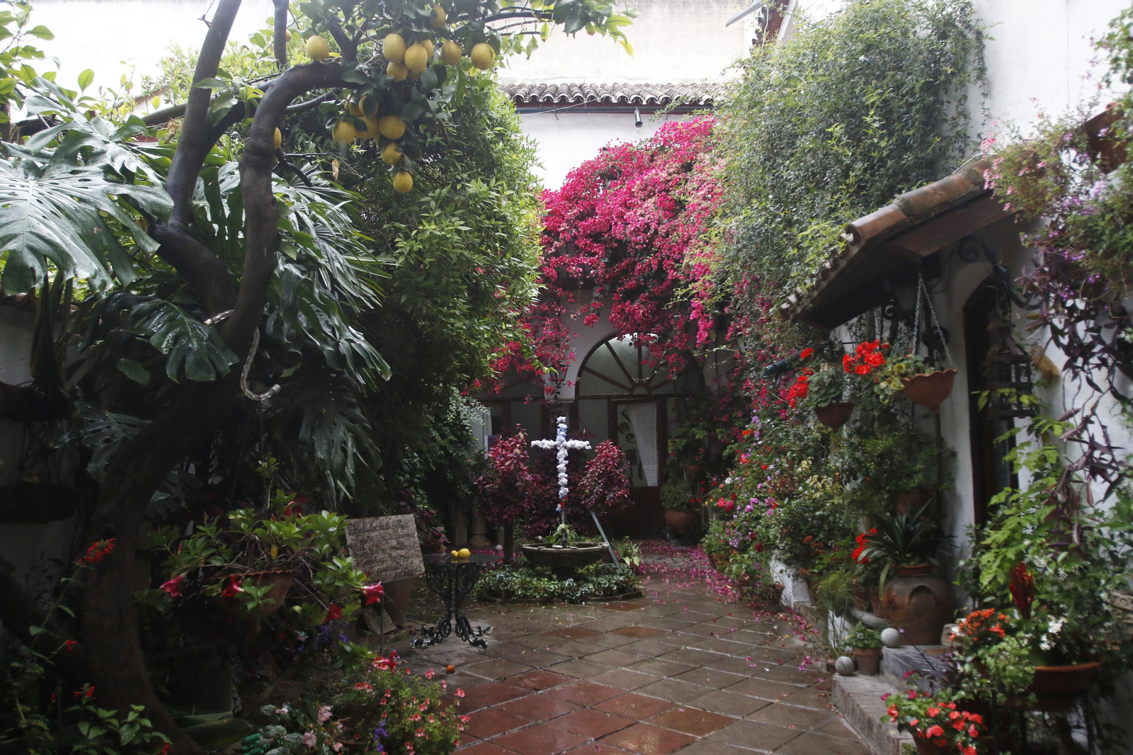 Las fotos de los Patios de Córdoba en tiempos de crisis: La Palma, 3