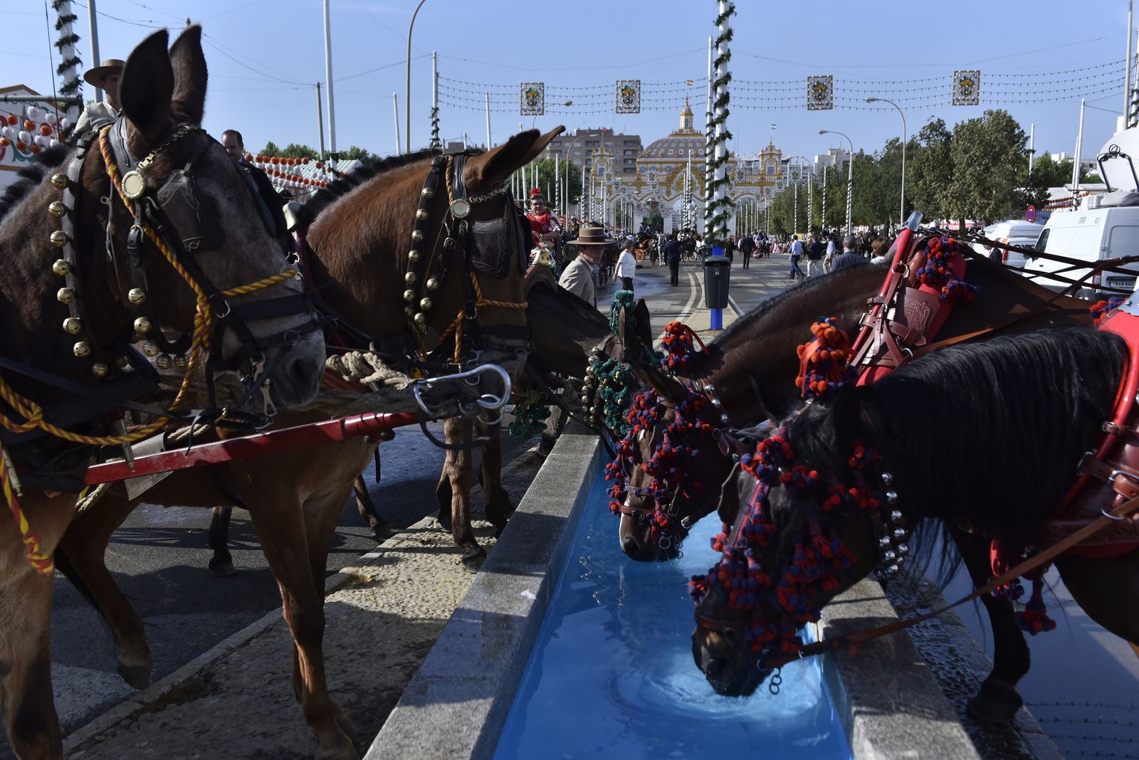 Las mejores imágenes del lunes de la Feria de Abril. Por Juan Carlos Vázquez