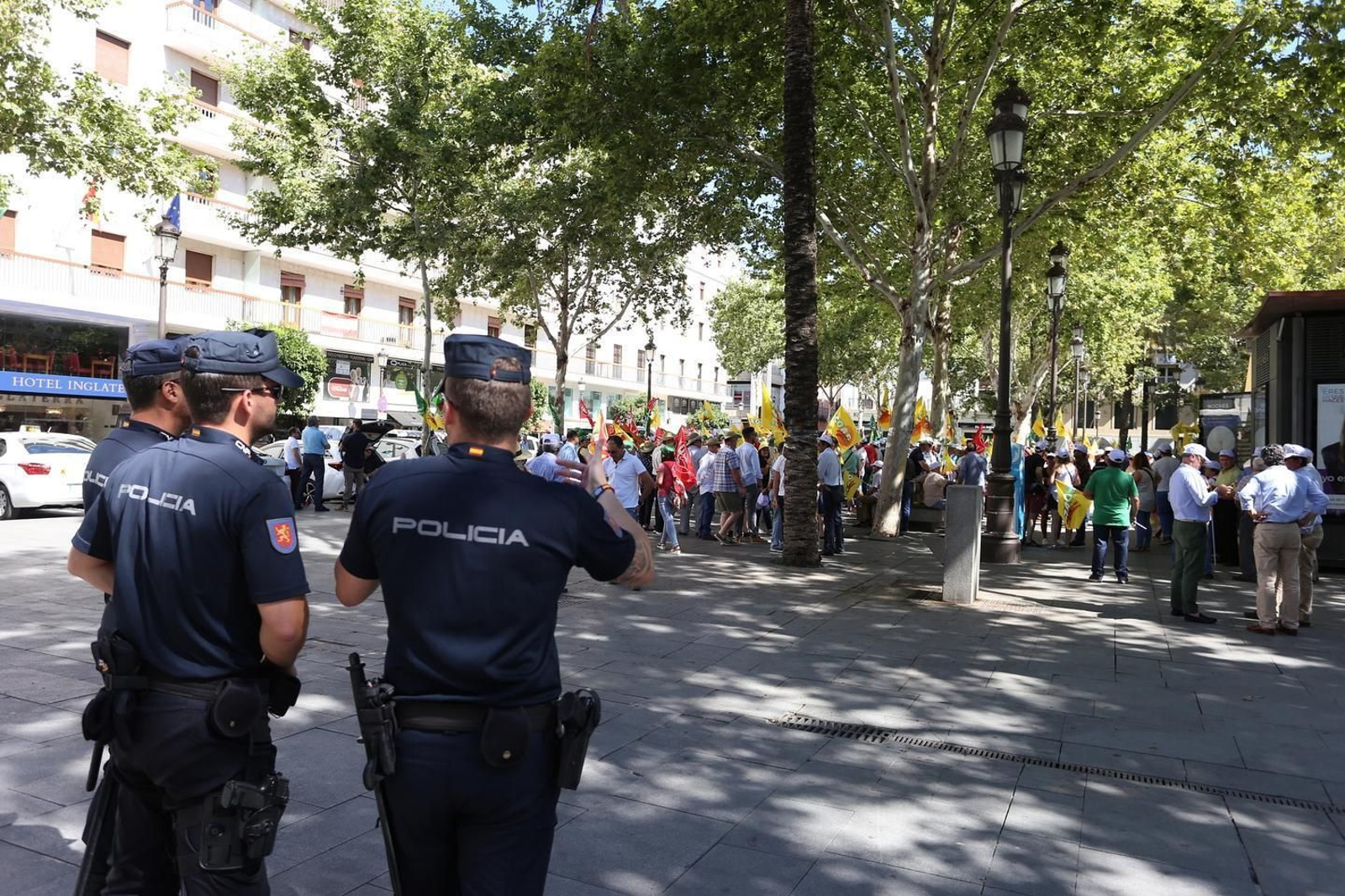 Manifestación en Sevilla en defensa de la aceituna negra