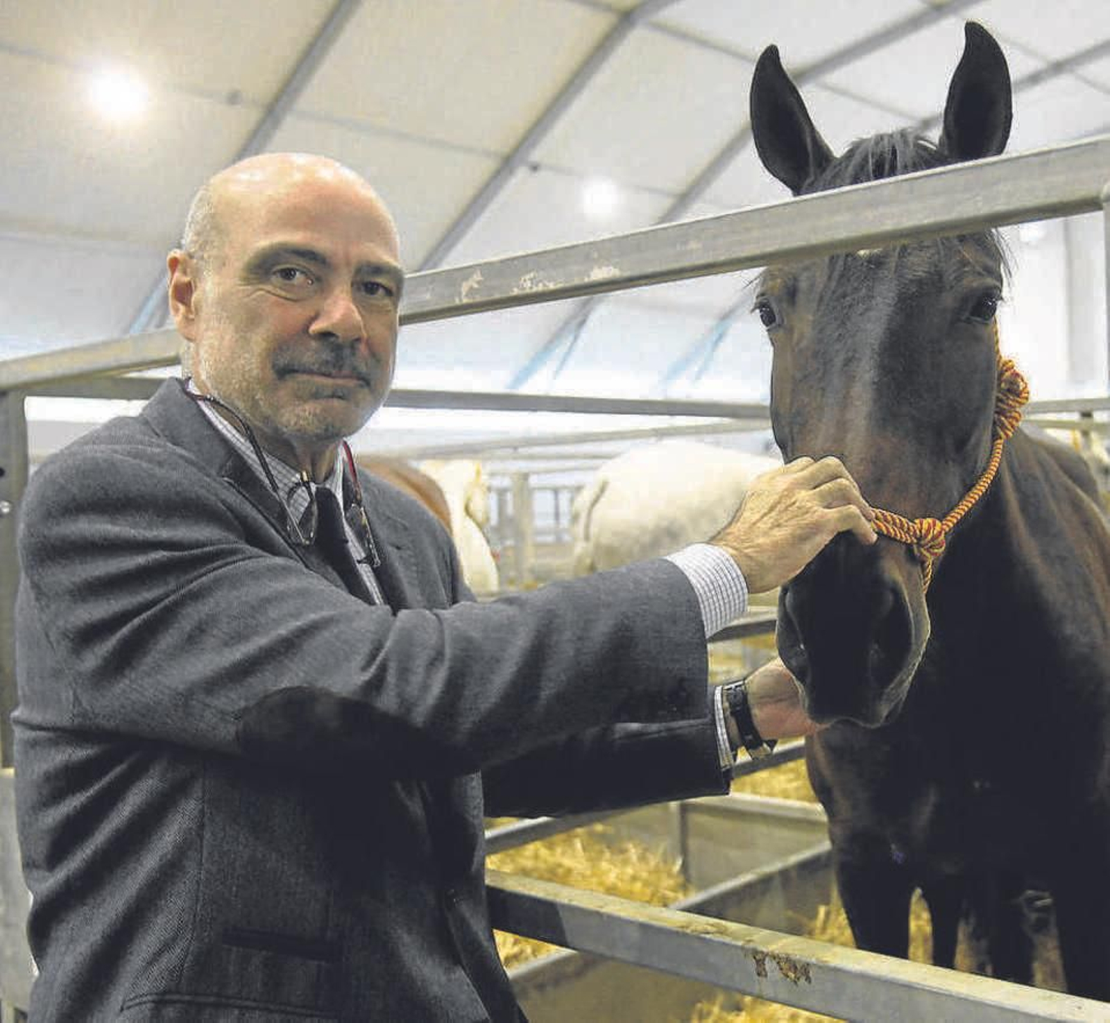 “Ahora tenemos los mejores caballos españoles de la historia”