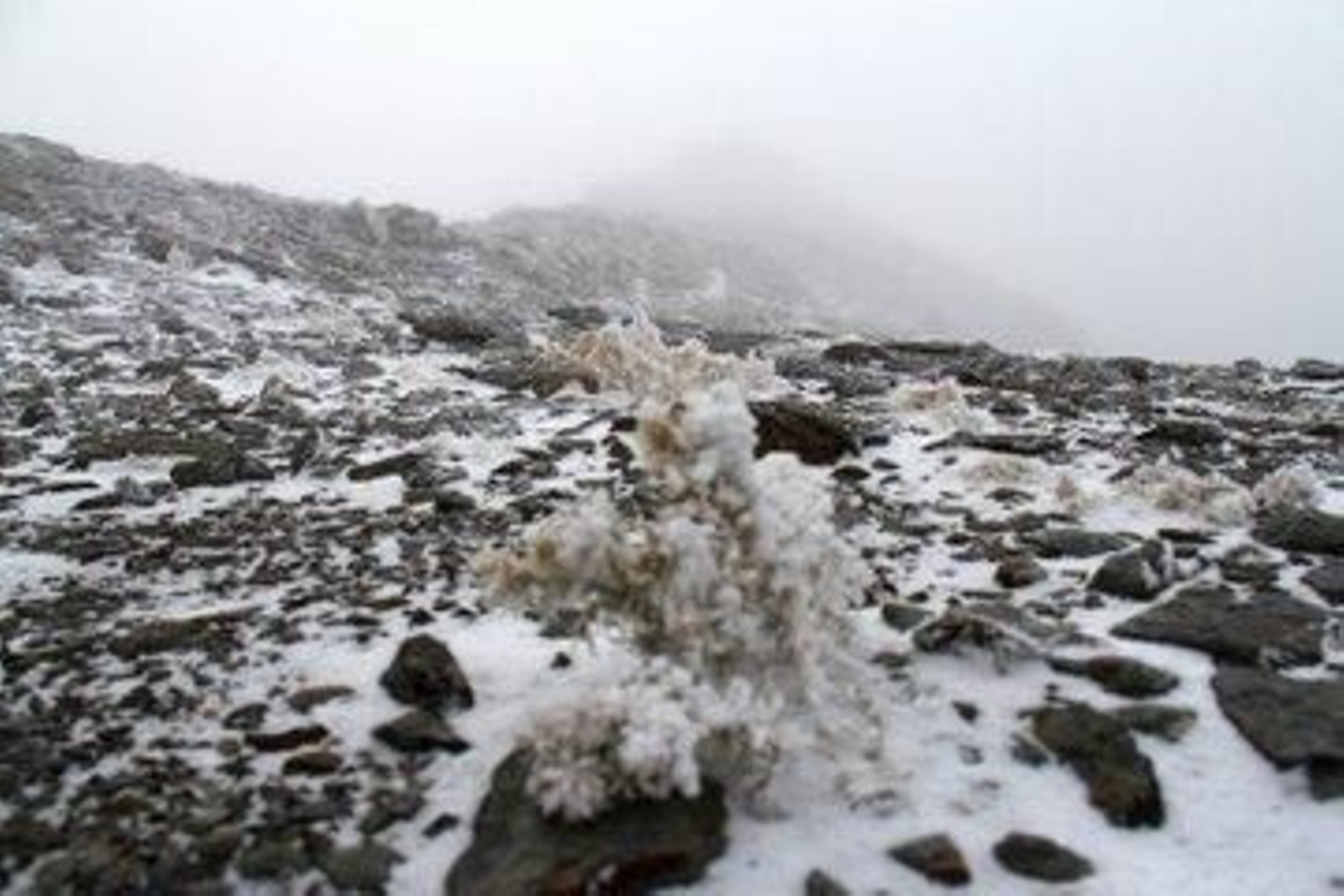 Imágenes de la primeras nieves en Sierra Nevada