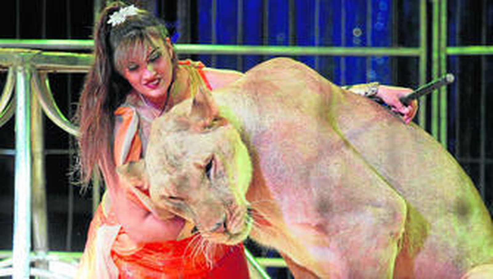 Algunos de los números del circo Coliseo, en su primera función ayer en Huelva capital.