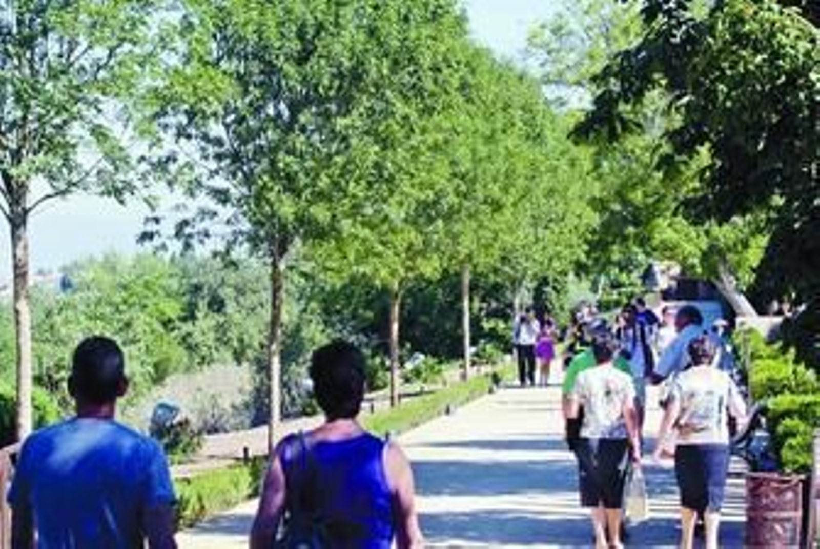 El paseo comienza en el pabellón de acceso al monumento nazarí y concluye en una rotonda que conecta con la Cuesta de los Chinos.