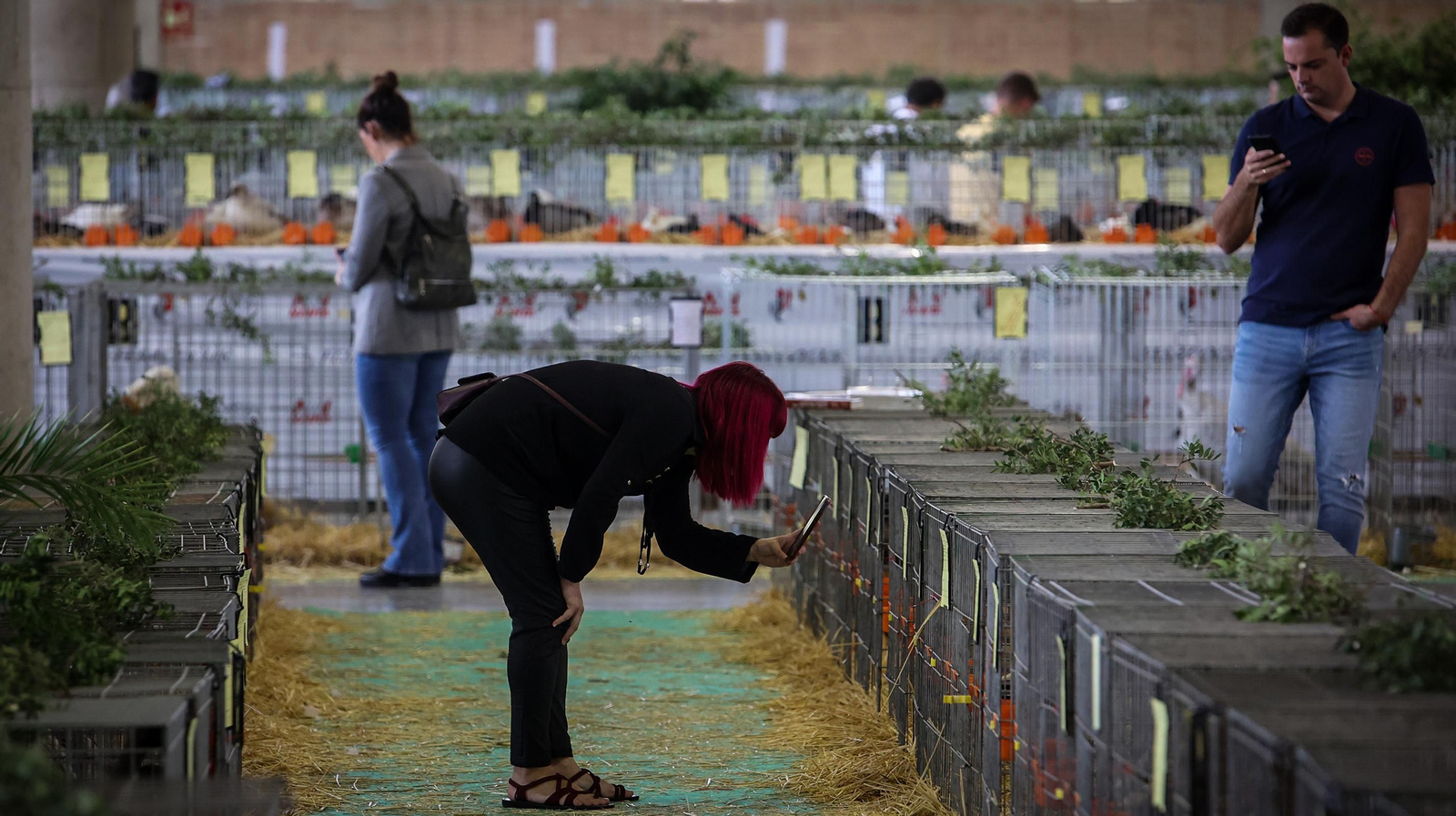 Comienza la feria de la ganadería y la agricultura en IFECA