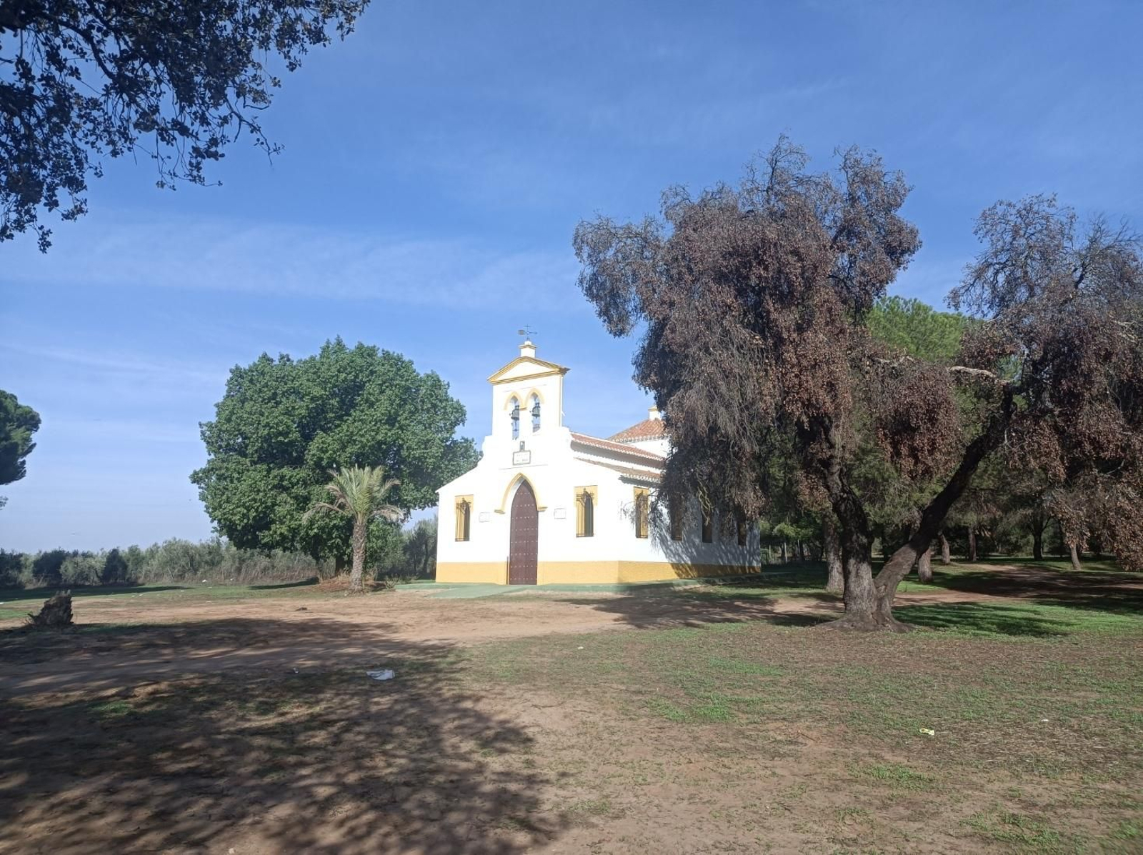 Fotos del Camino de San Diego en Almensilla