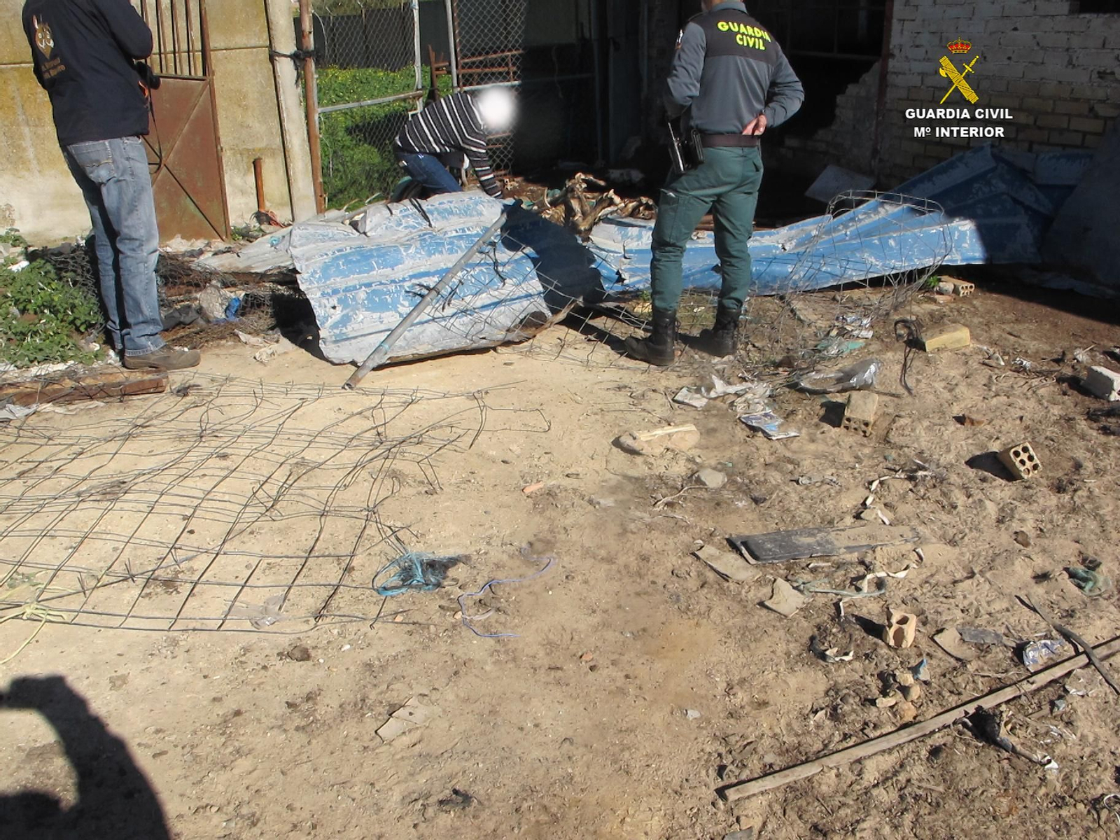 La finca en la que la Guardia Civil ha hallado los cadáveres de los dos animales.