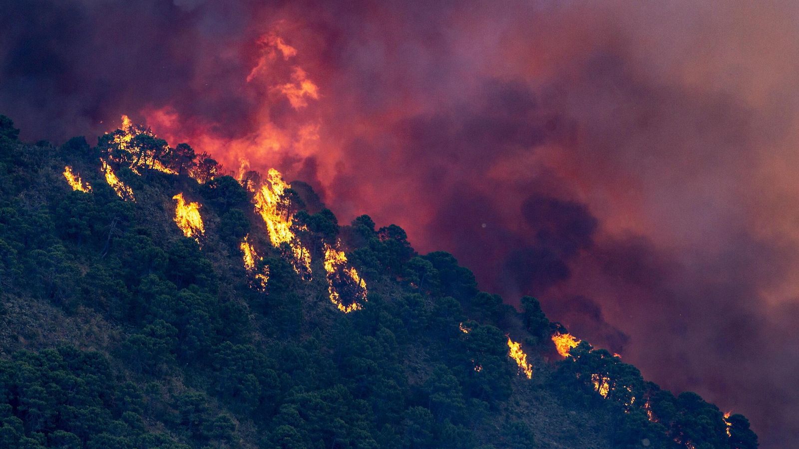 La Brigada de Investigación y los Cuerpos y Fuerzas de Seguridad investigan las causas del fuego. La Brigada de Investigación y los Cuerpos y Fuerzas de Seguridad investigan las causas del fuego.