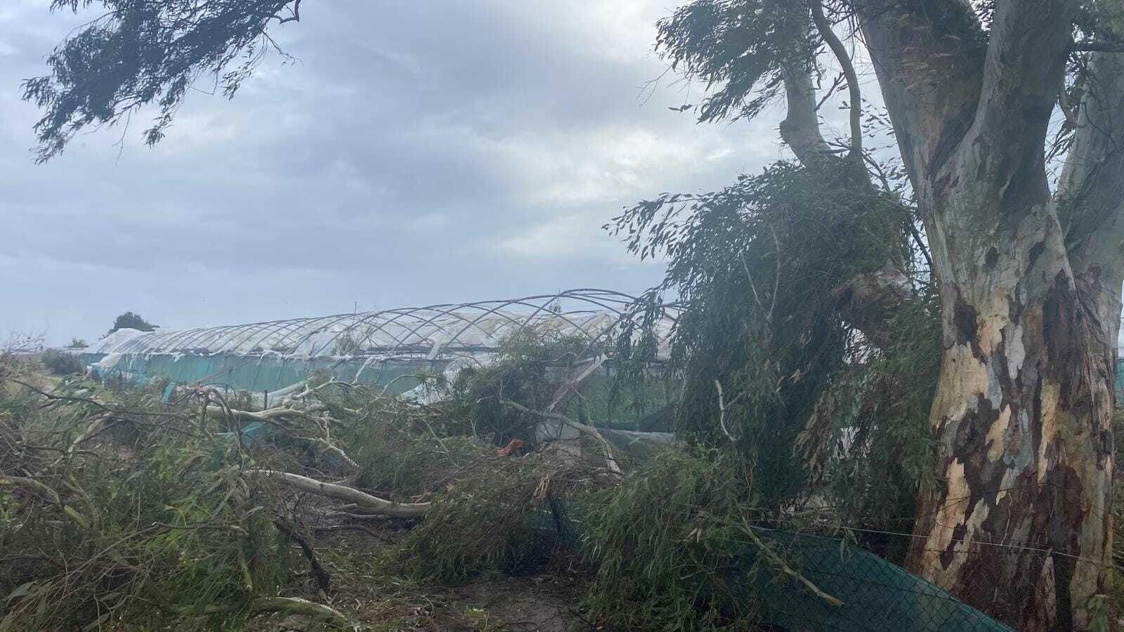 Destrozos en uno de los invernaderos de Chipiona.