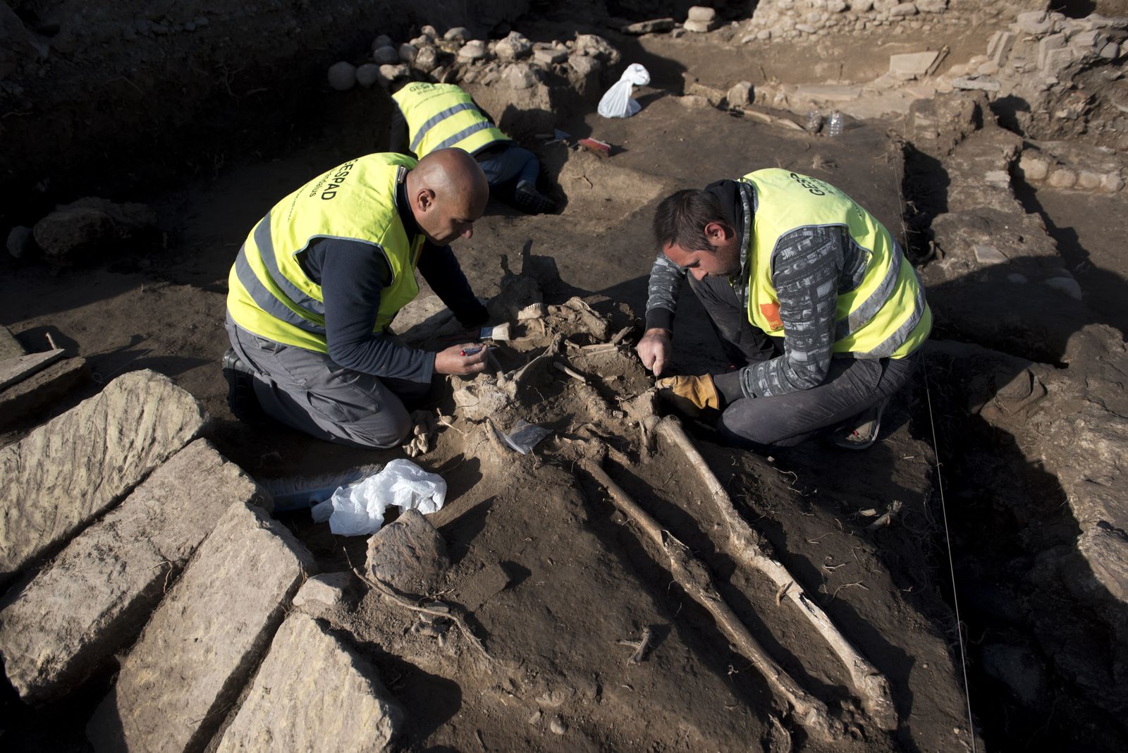 Nuevos hallazgos en Los Mondragones