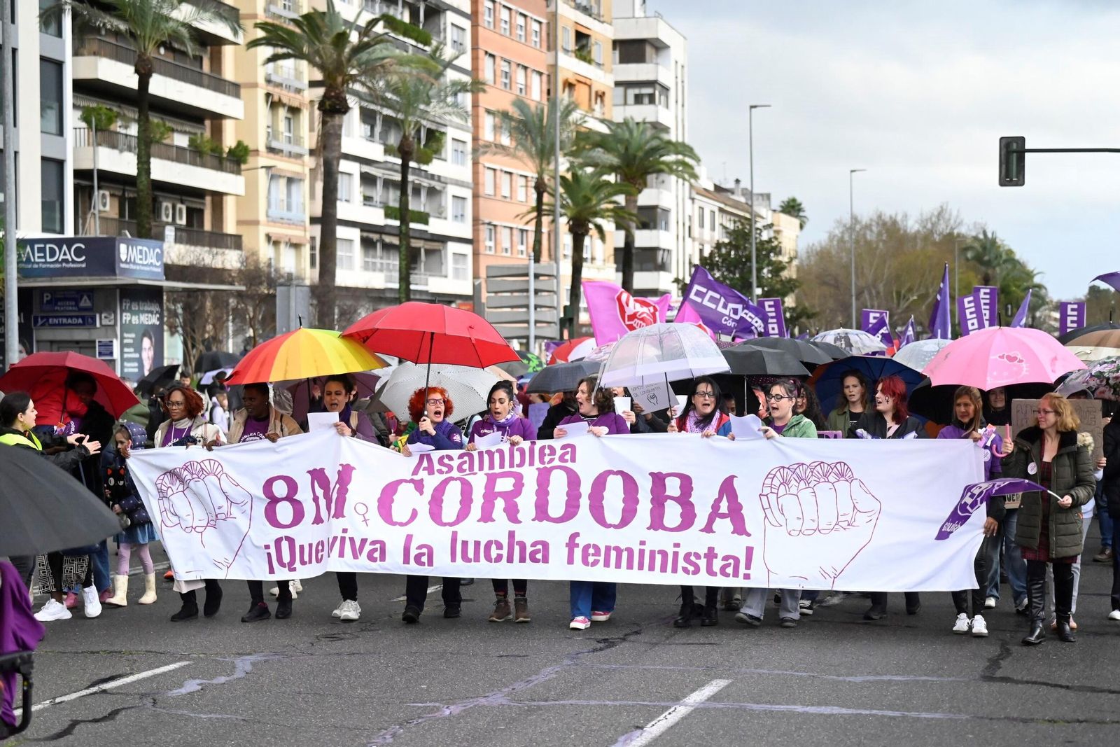 La manifestación del 8M en Córdoba, en imágenes