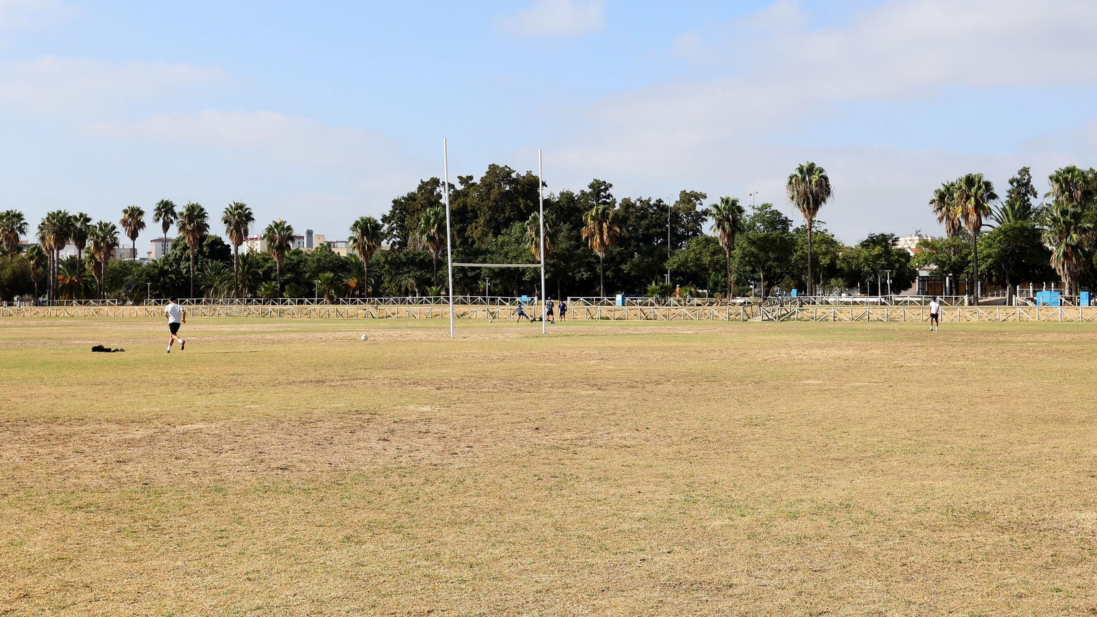 Este es el estado en que se encuentra la Pradera de Chapín en Jerez