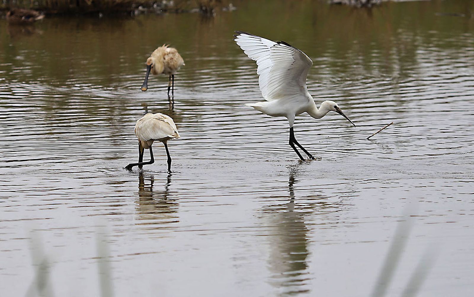 Las imágenes más destacadas del domingo 21 de mayo en Huelva