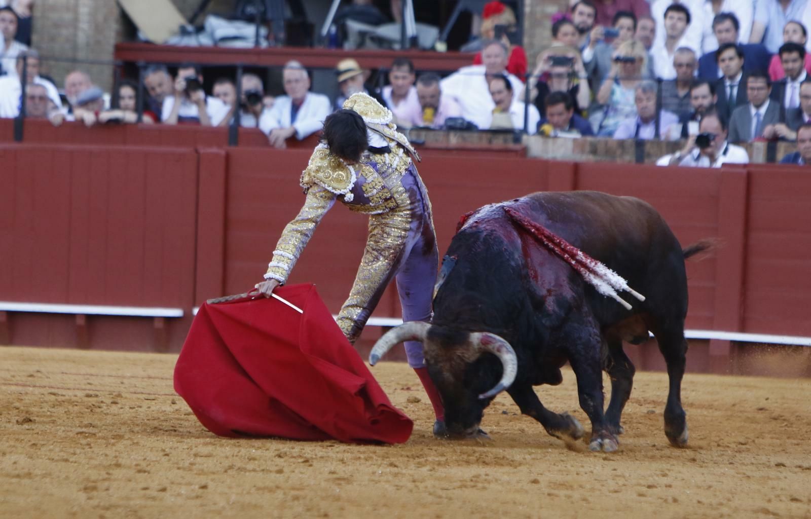 Roca Rey en la Maestranza.