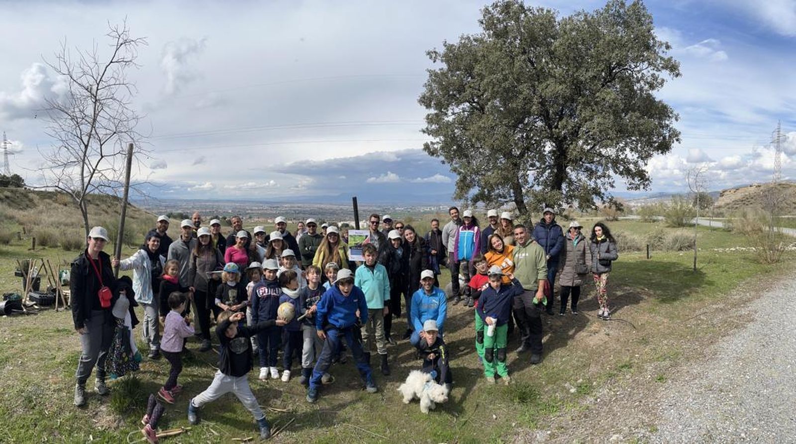 La plantación de encinas por parte de Emasagra en el Parque de las Canteras de La Zubia.