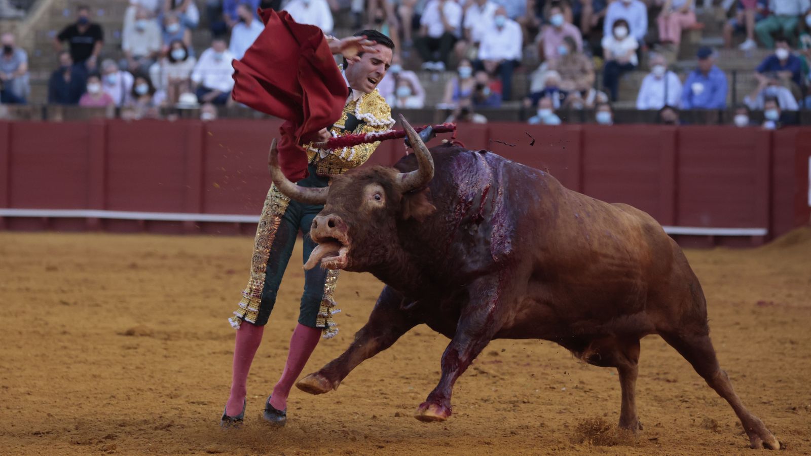 Las imágenes de la segunda corrida de San Miguel