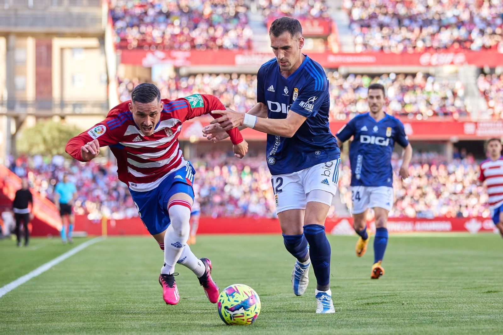 José Callejón es presinado por Dani Calvo.