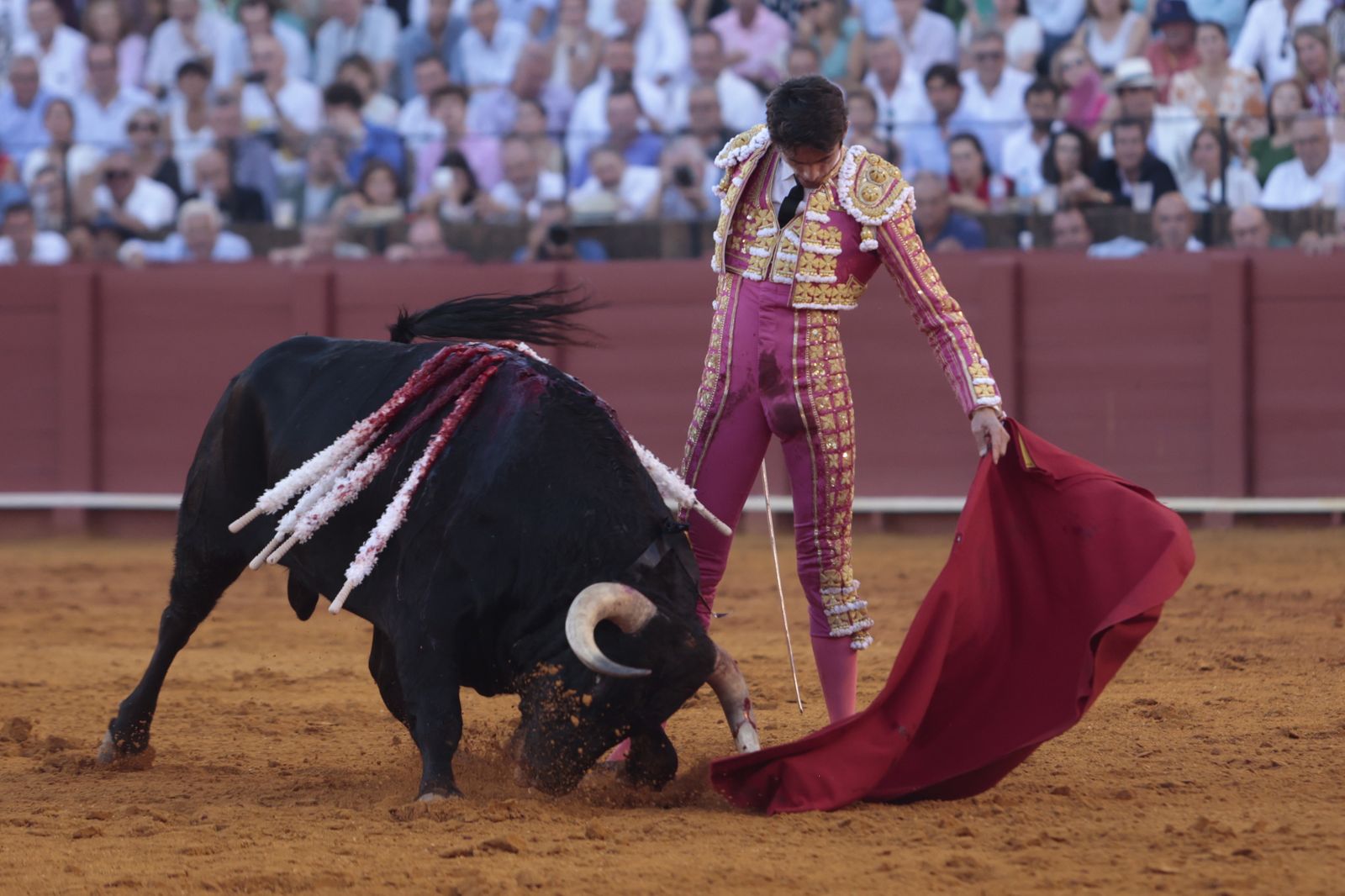 El triunfo de Castella en imágenes