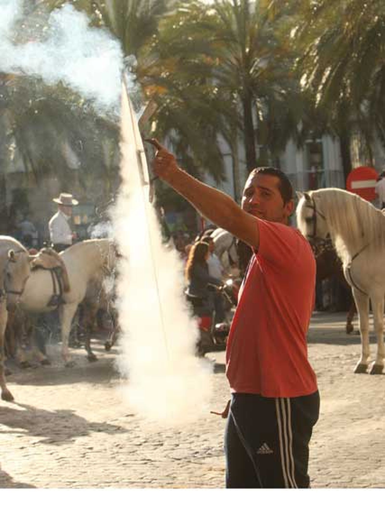 La hermandad rociera, tras asistir a la misa de romeros en Santo Domingo, coloca el Simpecado de Jerez en la carreta e inicia el camino hacia la aldea de El Rocío

Foto: Juan Carlos Toro