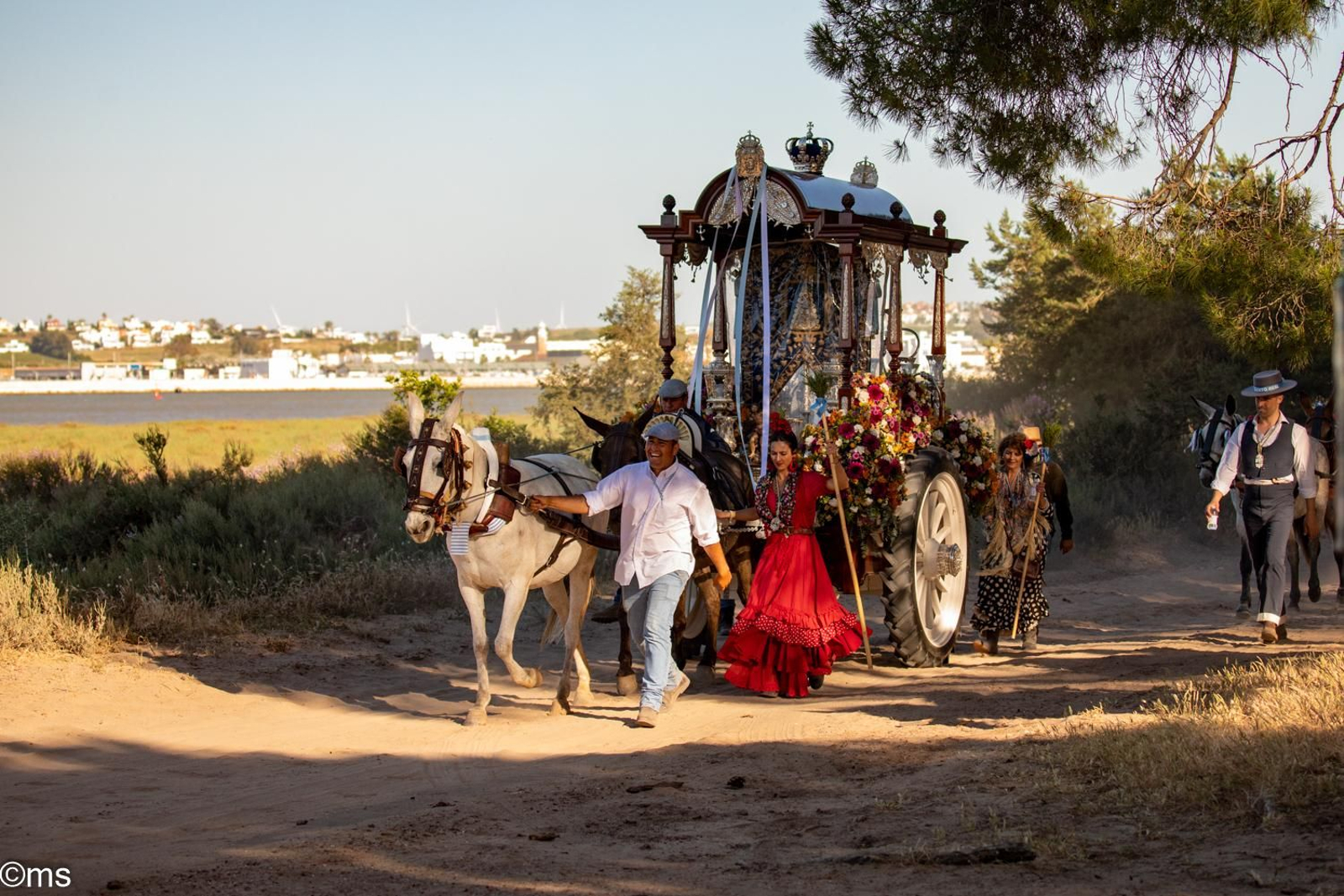 Las 10 normas para cuidar el Espacio Natural de Doñana durante el paso de las hermandades de camino a El Rocío