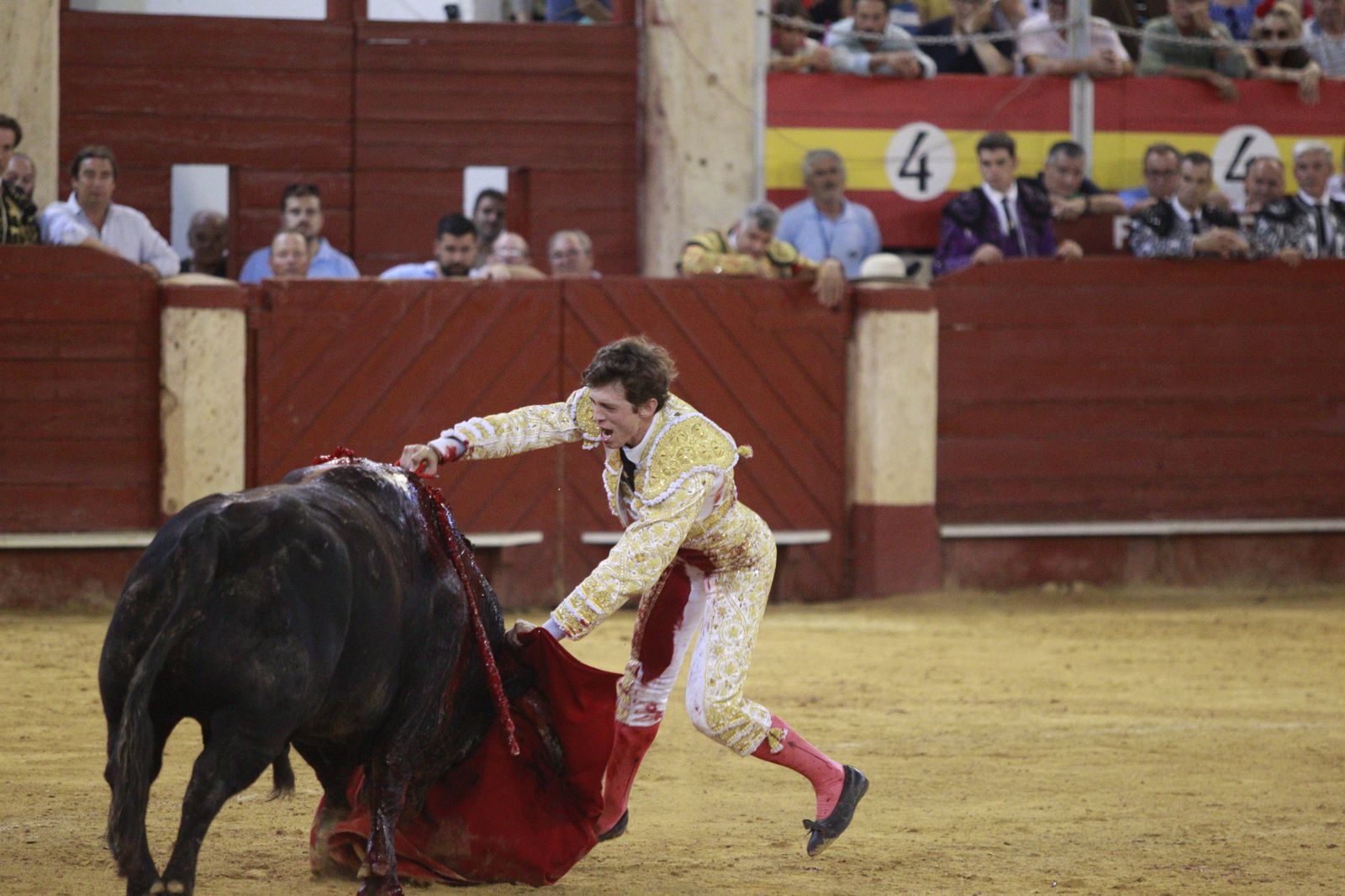 Imágenes del triunfo del torero almeriense Jorge Martínez el día de su alternativa
