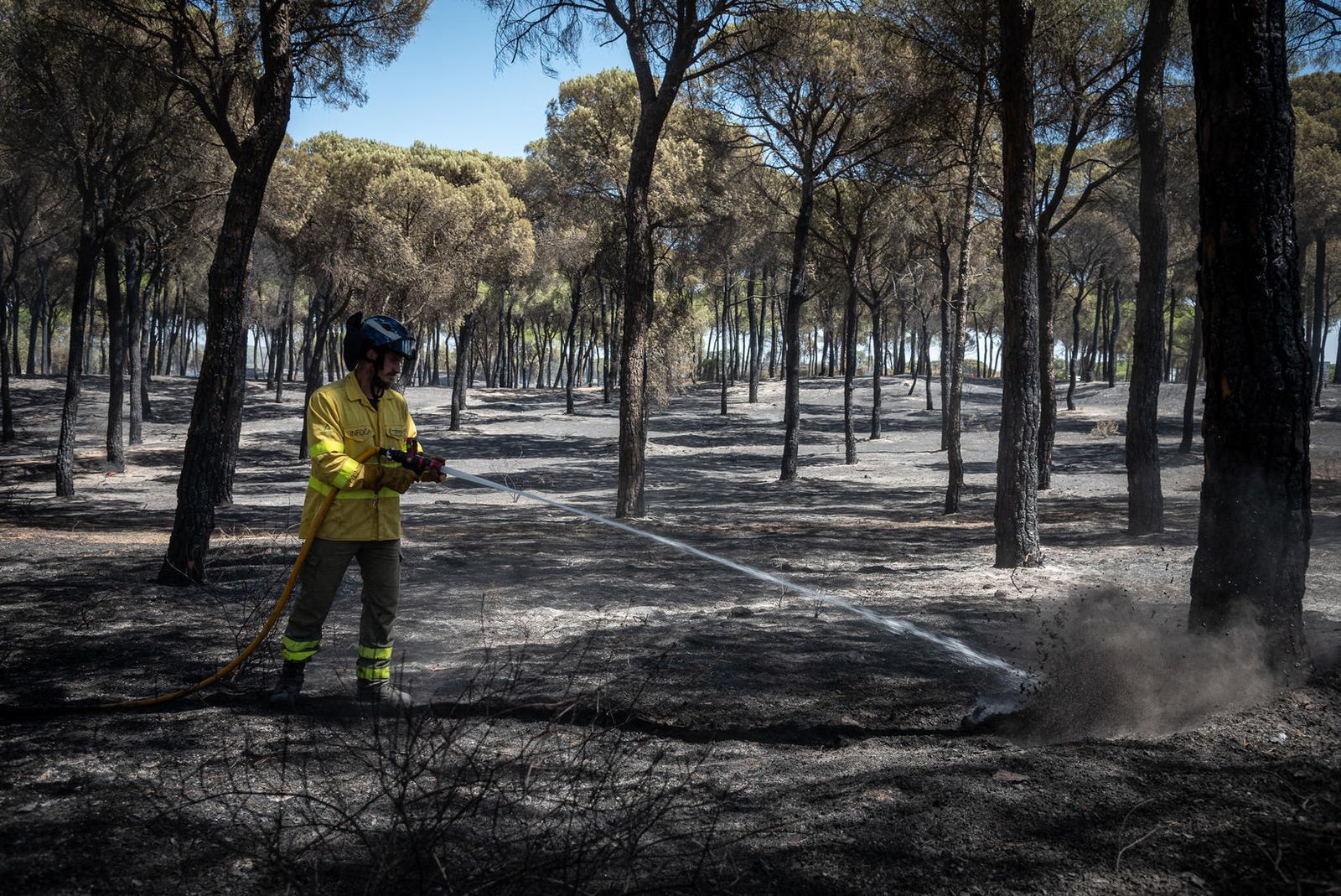 Un bombero refresca la zona del incendio de Bonares.