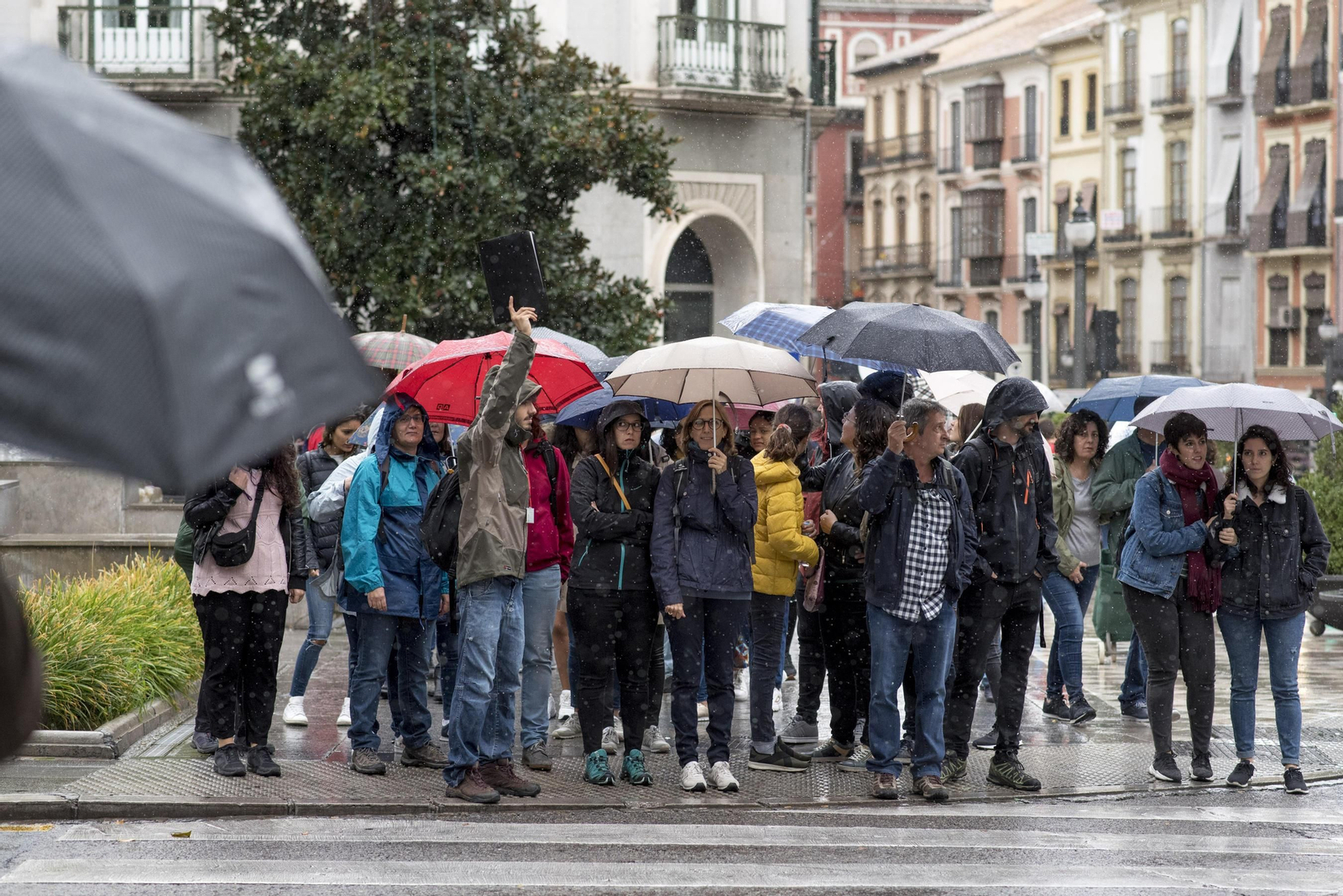 Un guía turístico con un grupo en la Plaza Isabel la Católica