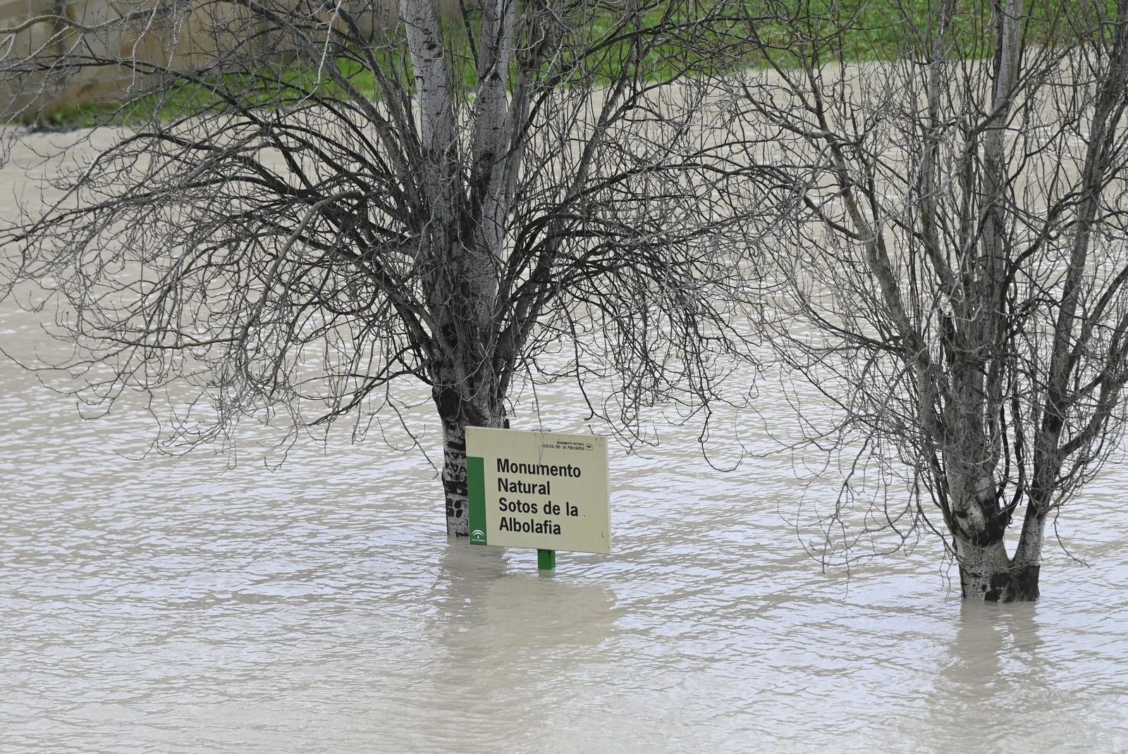 El río Guadalquivir supera los cuatro metros de altura a su paso por Córdoba, en imágenes
