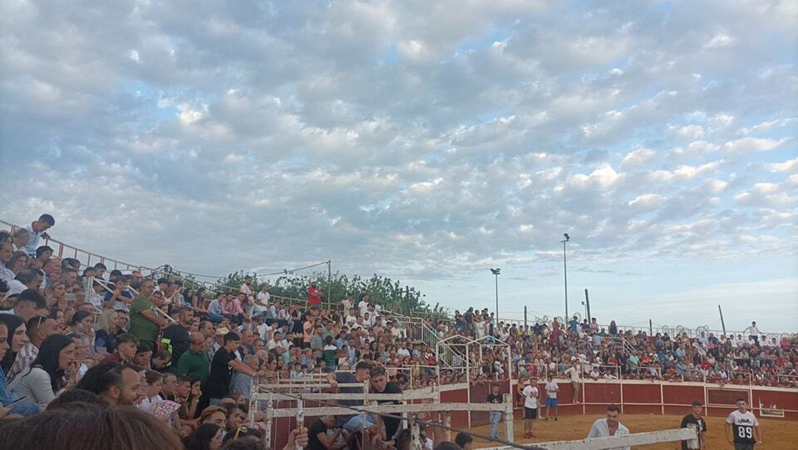 Villa del Río recupera la suelta de vaquillas, en imágenes