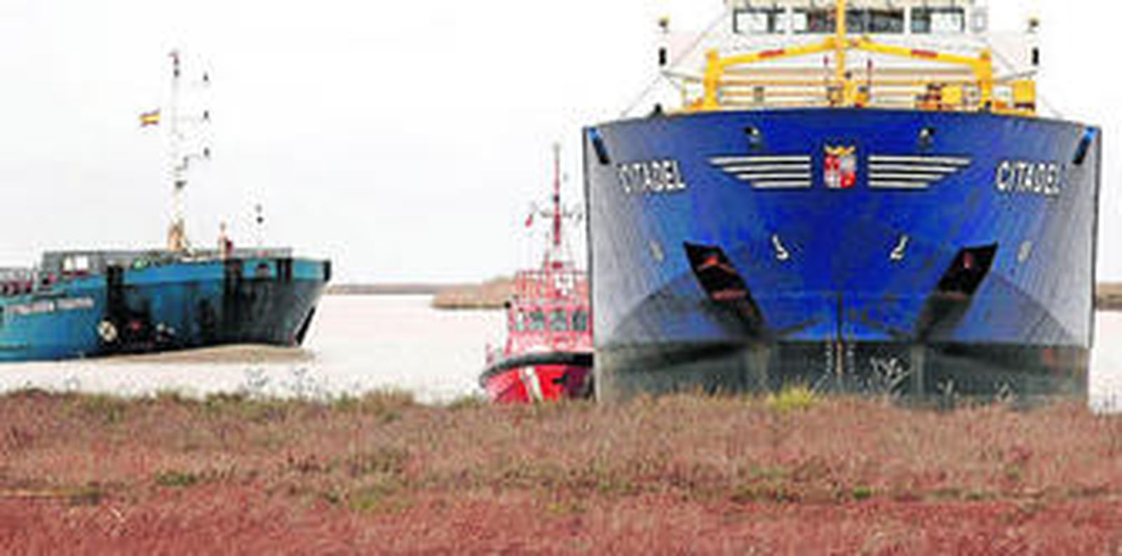 El carguero quedó embarrancado en el fango de la orilla del Guadalquivir.