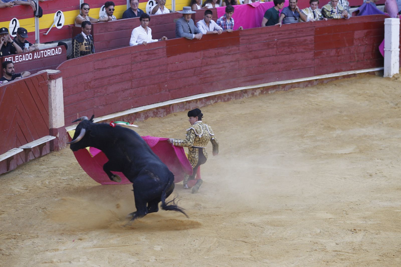 Fotogalería novillada Escuela Taurina de Almería. Feria de Almería 2019