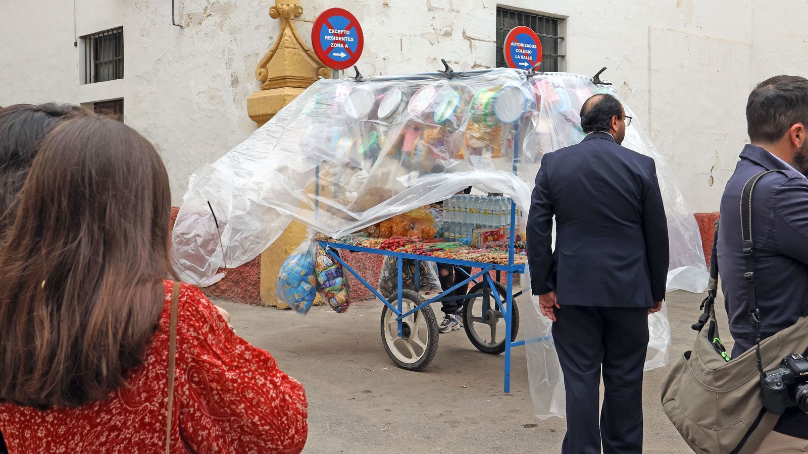 Domingo de Ramos: Hermandad de la Borriquita