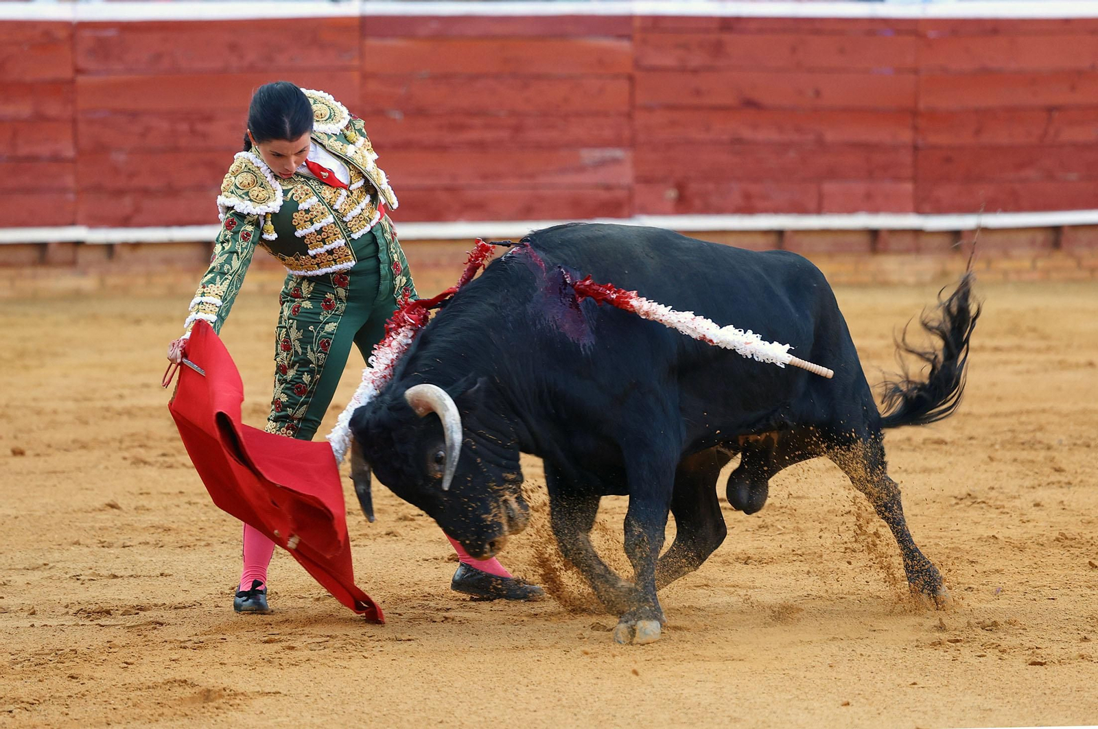 Toros La Merced 2024: Imágenes de la clase práctica del primer Festejo celebrado en la Plaza de Toros La Merced