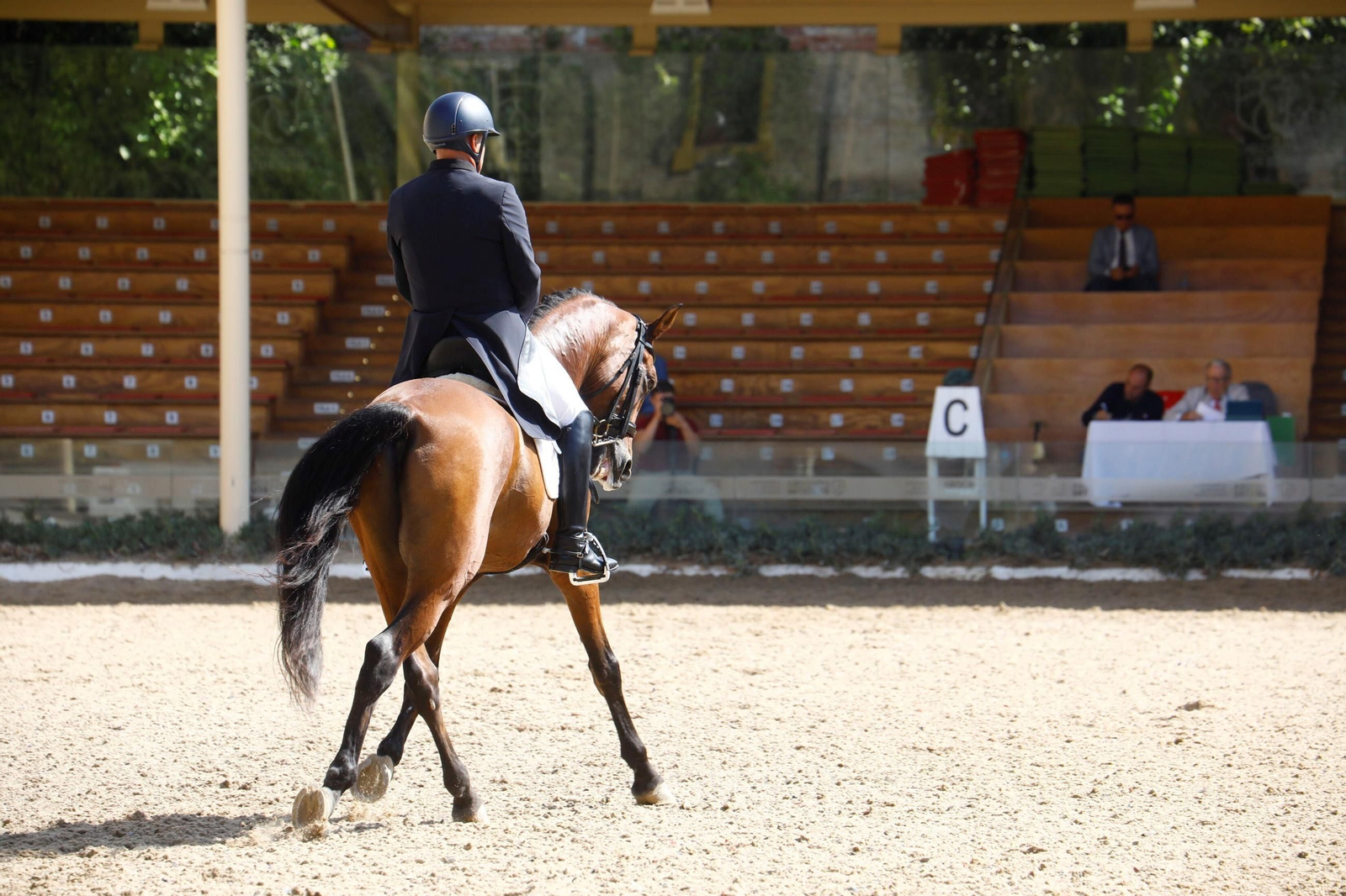 El concurso nacional de Doma Clásica en las Caballerizas Reales de Córdoba