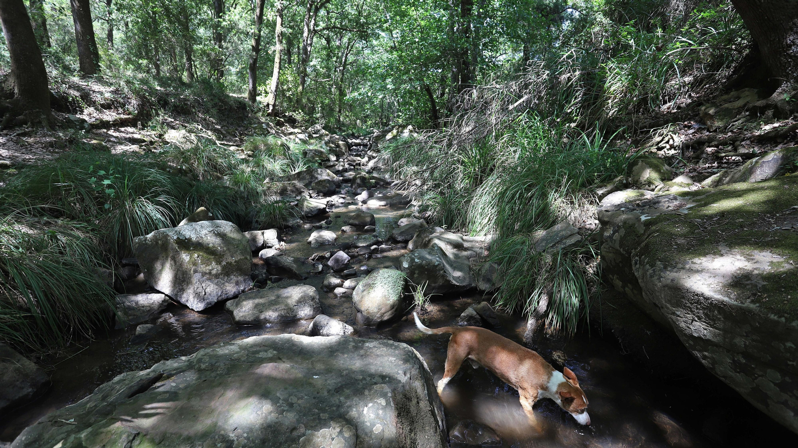 Las mejores fotos de la Montera del Torero y Valdeinfierno