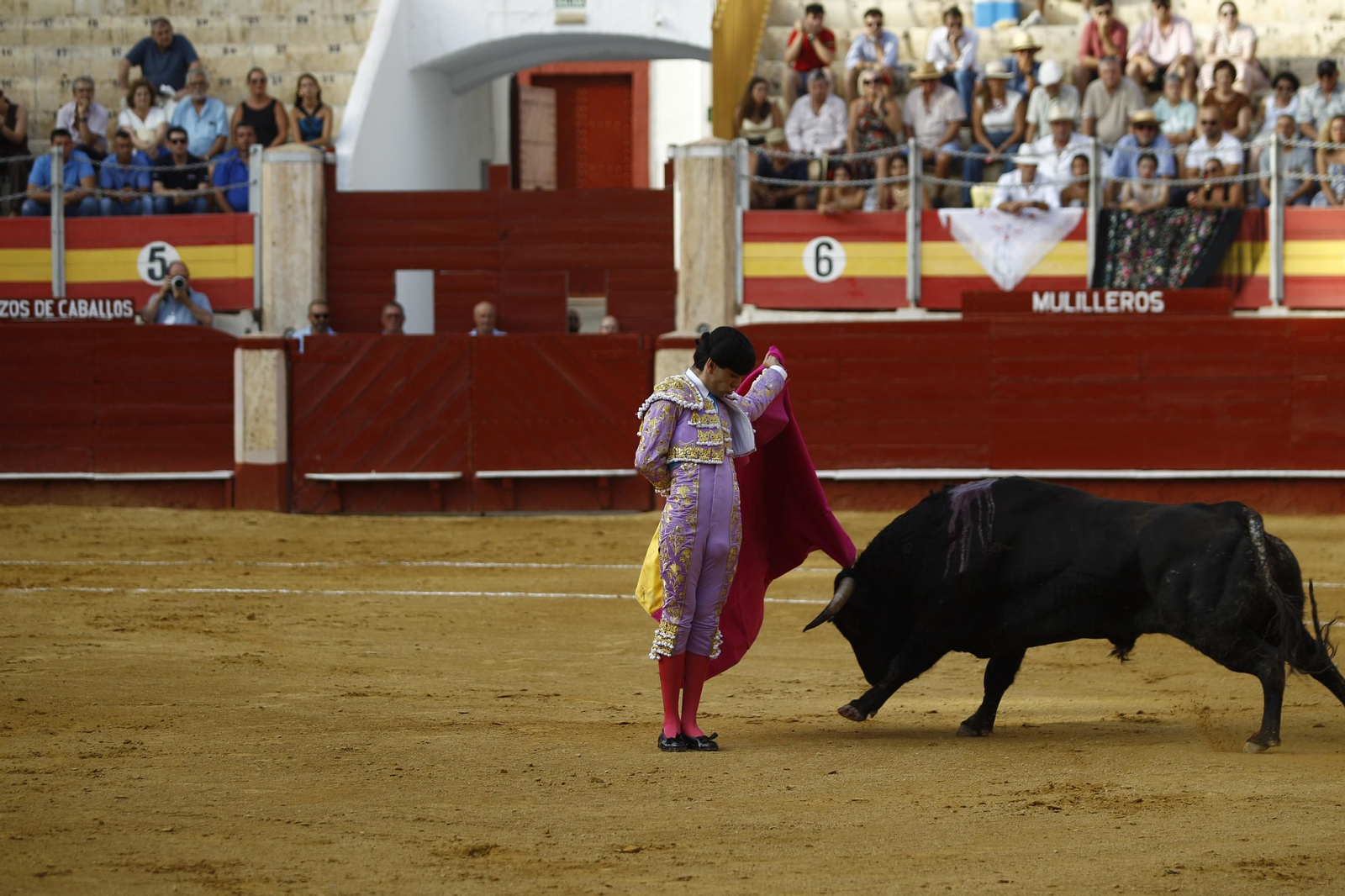 Imágenes de la novillada de la Feria de Almería 2025