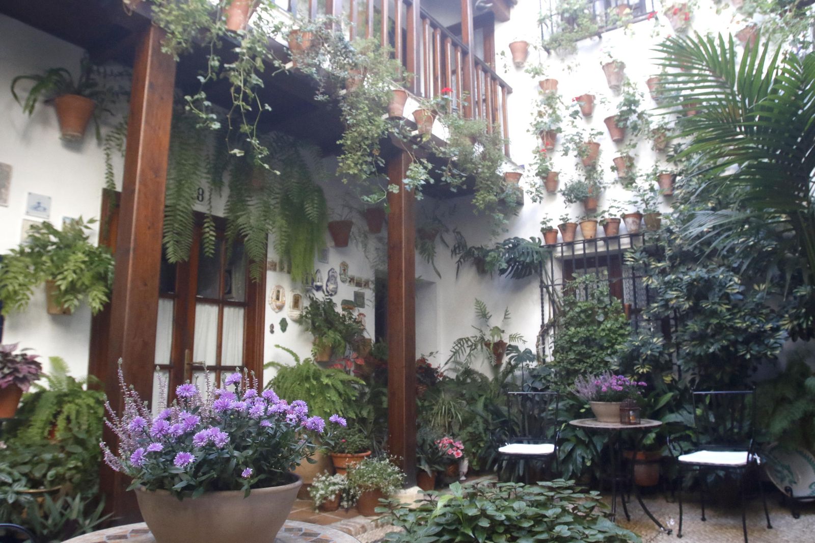 Los Patios en otoño, en fotografías