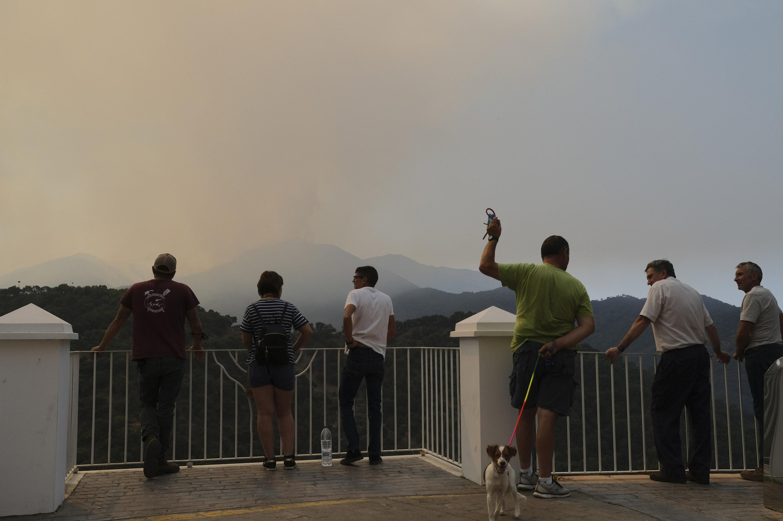El incendio de Sierra Bermeja, en fotos.