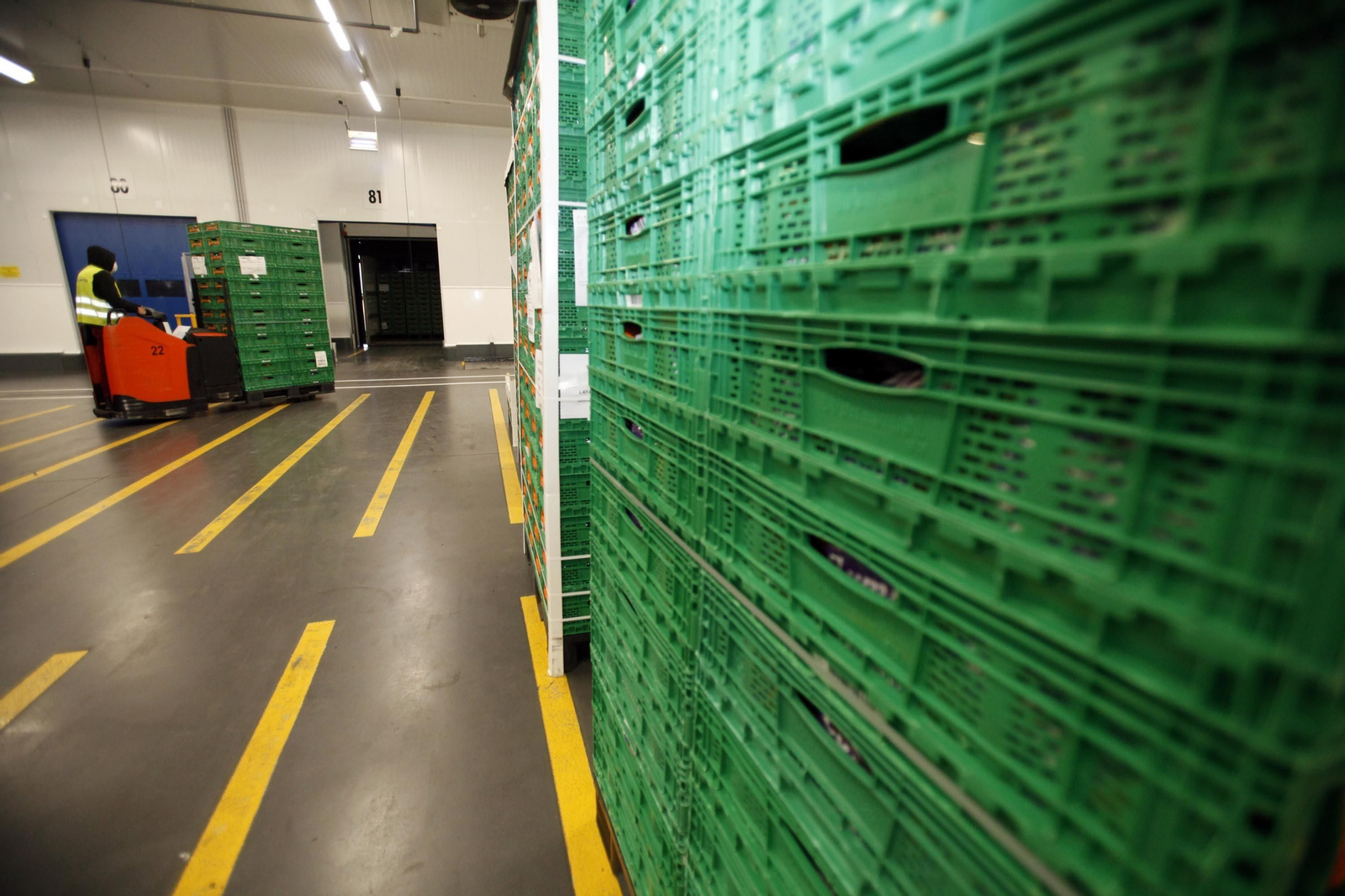 Imágenes del trabajo en la central logística de Mercadona