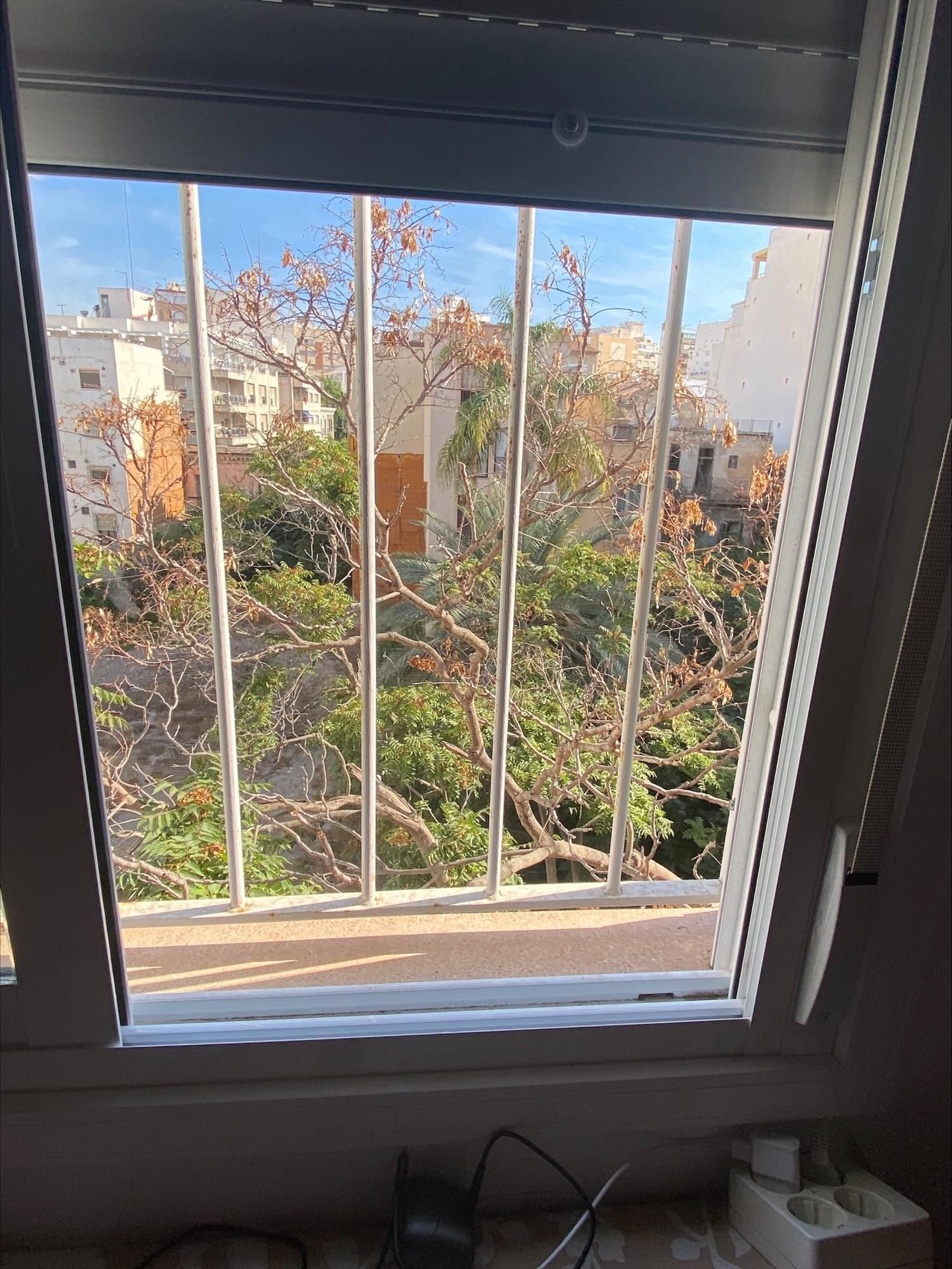 Las ramas junto a las ventanas.